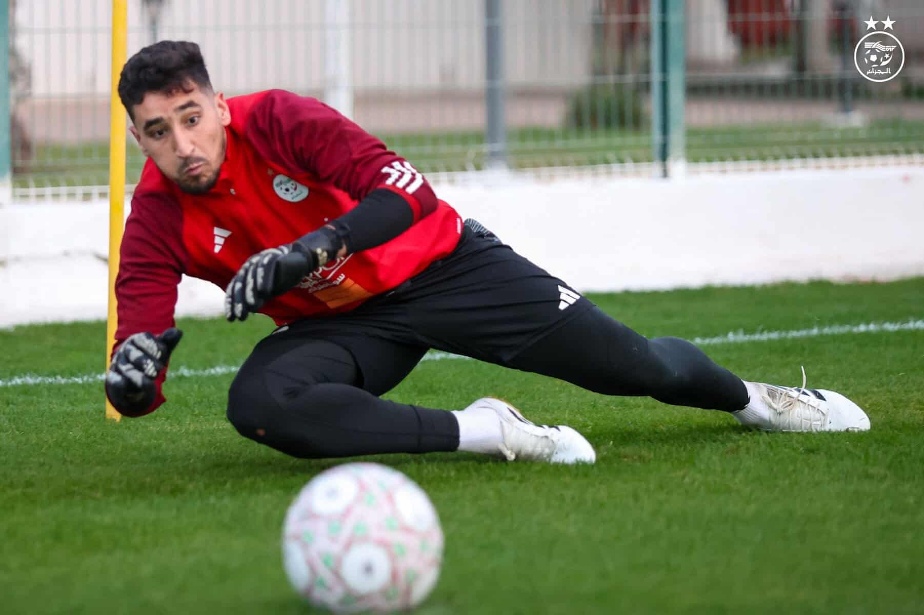 599941919 122180716886484363 1671424034104147728 n