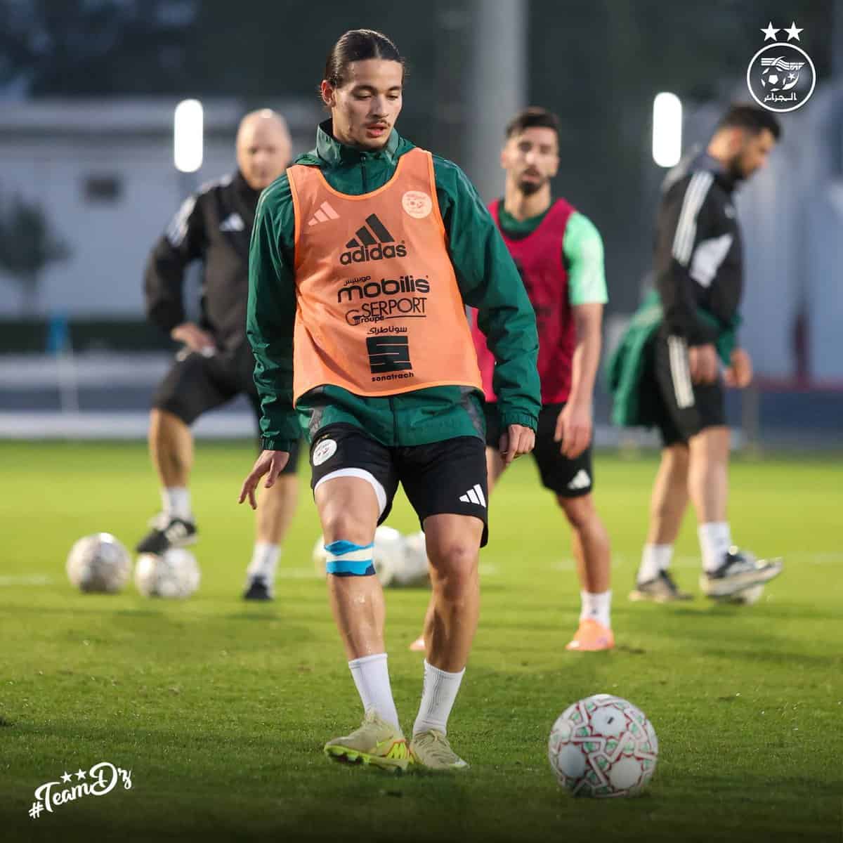 599946624 122180717072484363 5404819573819221756 n