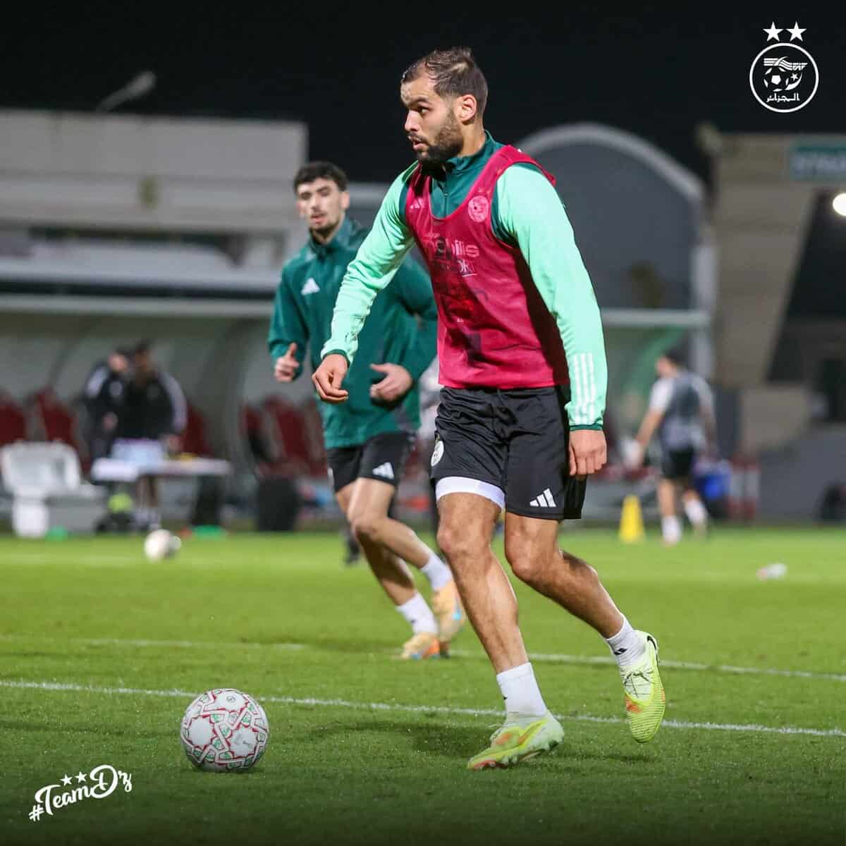 599950275 122180716760484363 6251982491167651762 n