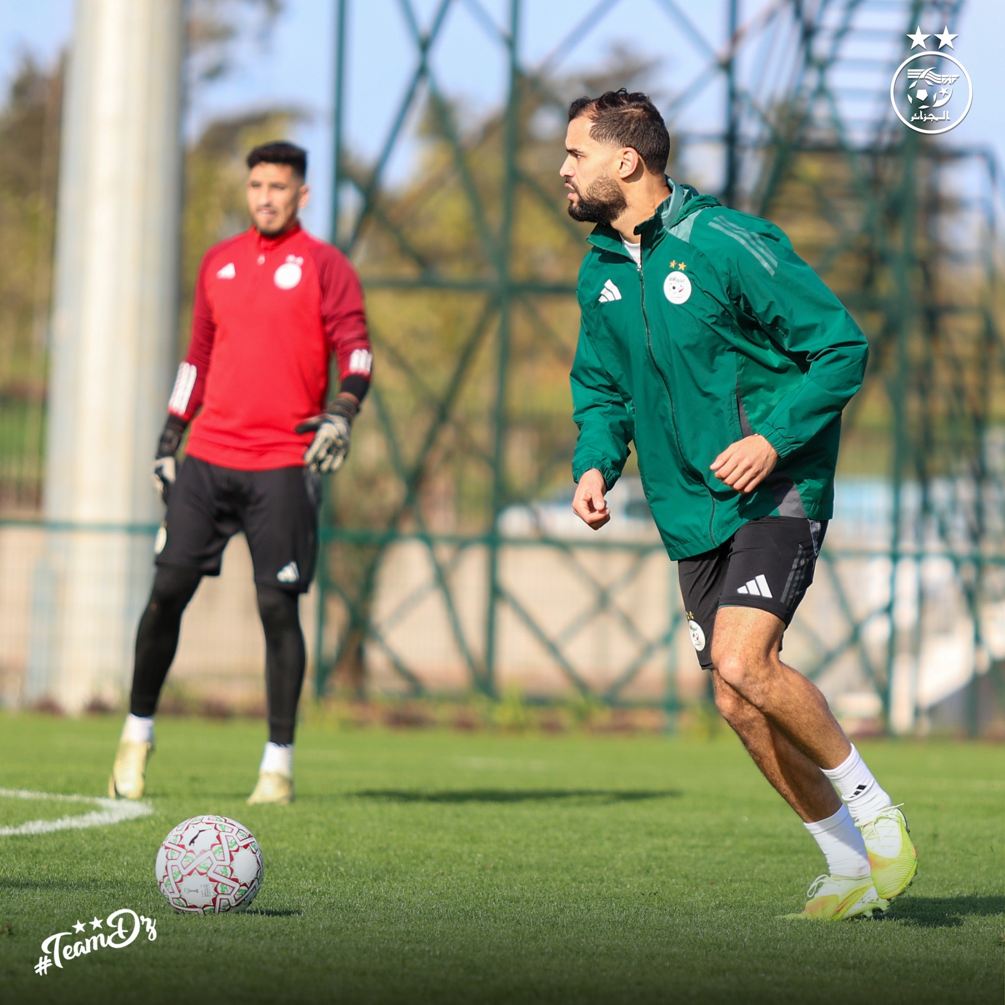 600349437 122181308984484363 9213468453483129819 n