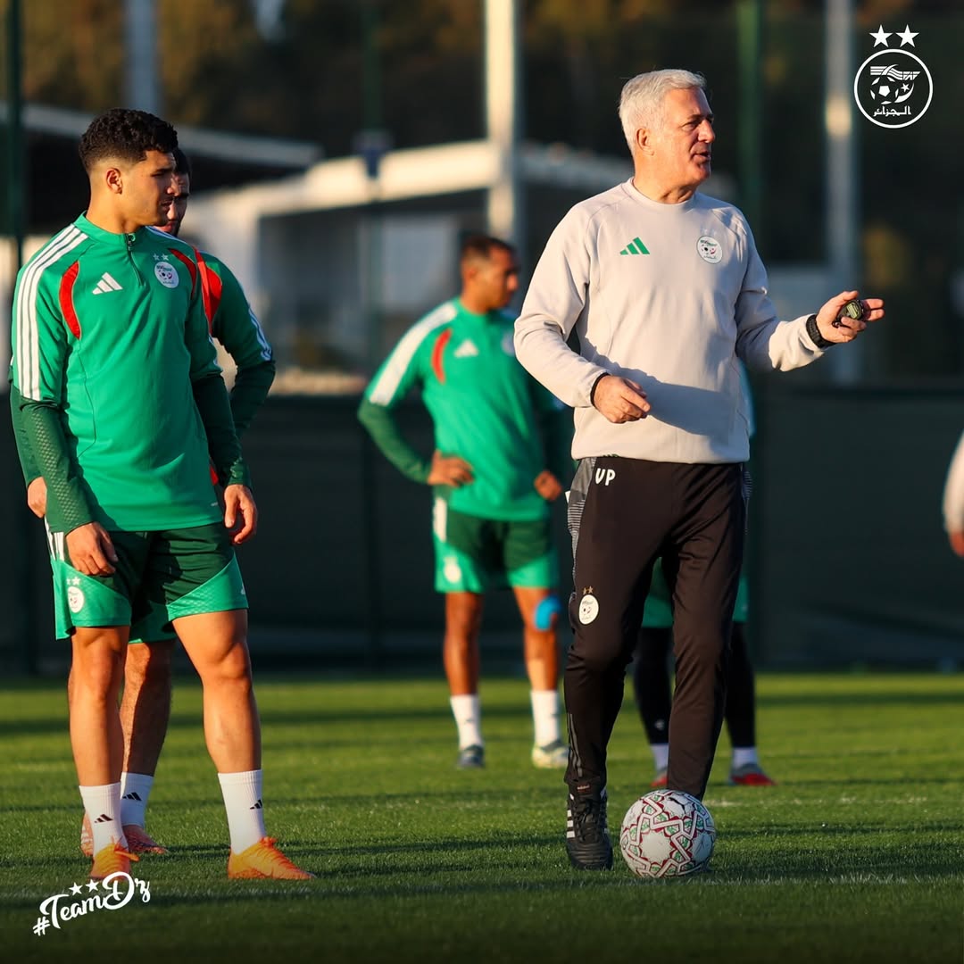 600624389 18161000707398019 2860648022736666406 n