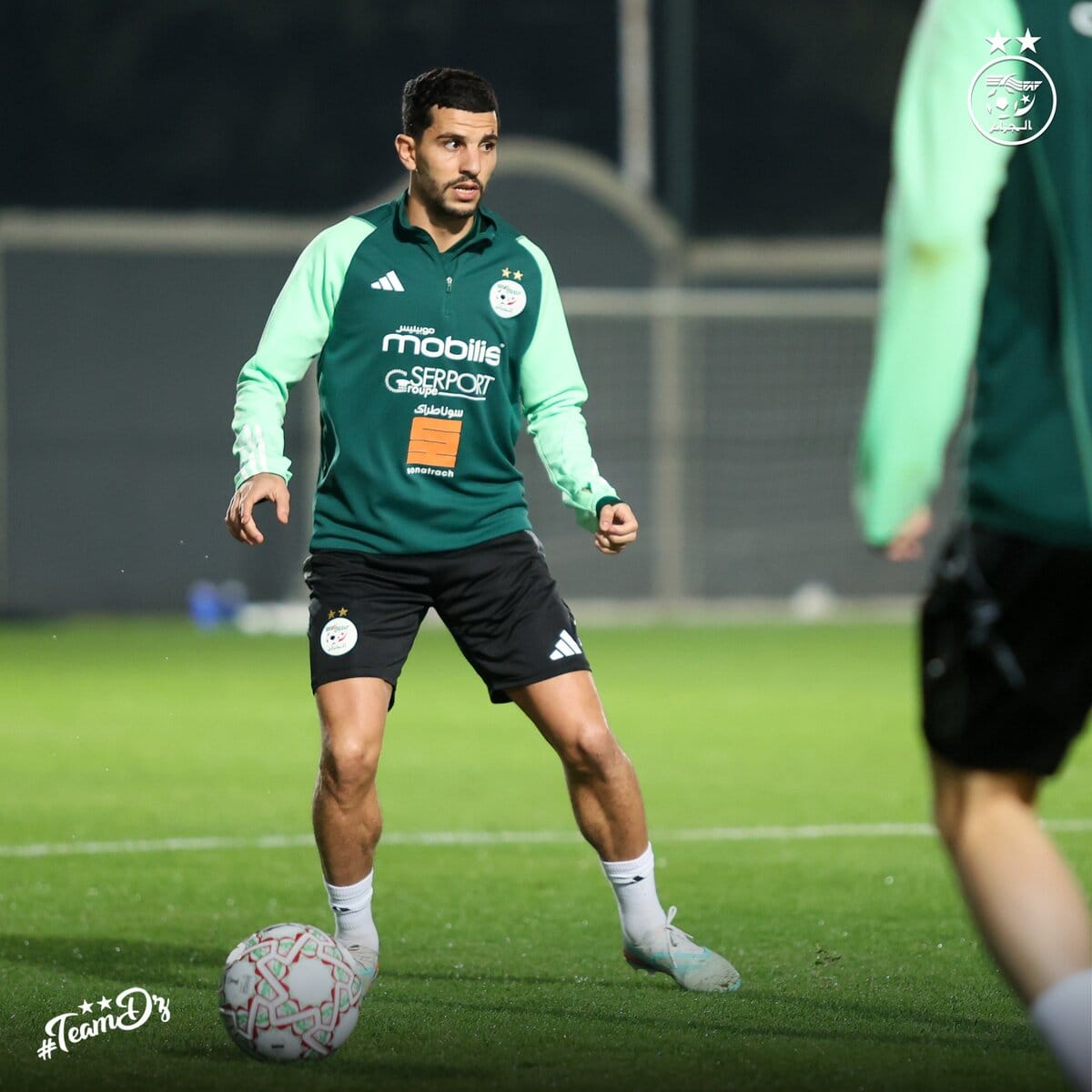 600869044 122180805530484363 355436499482782968 n