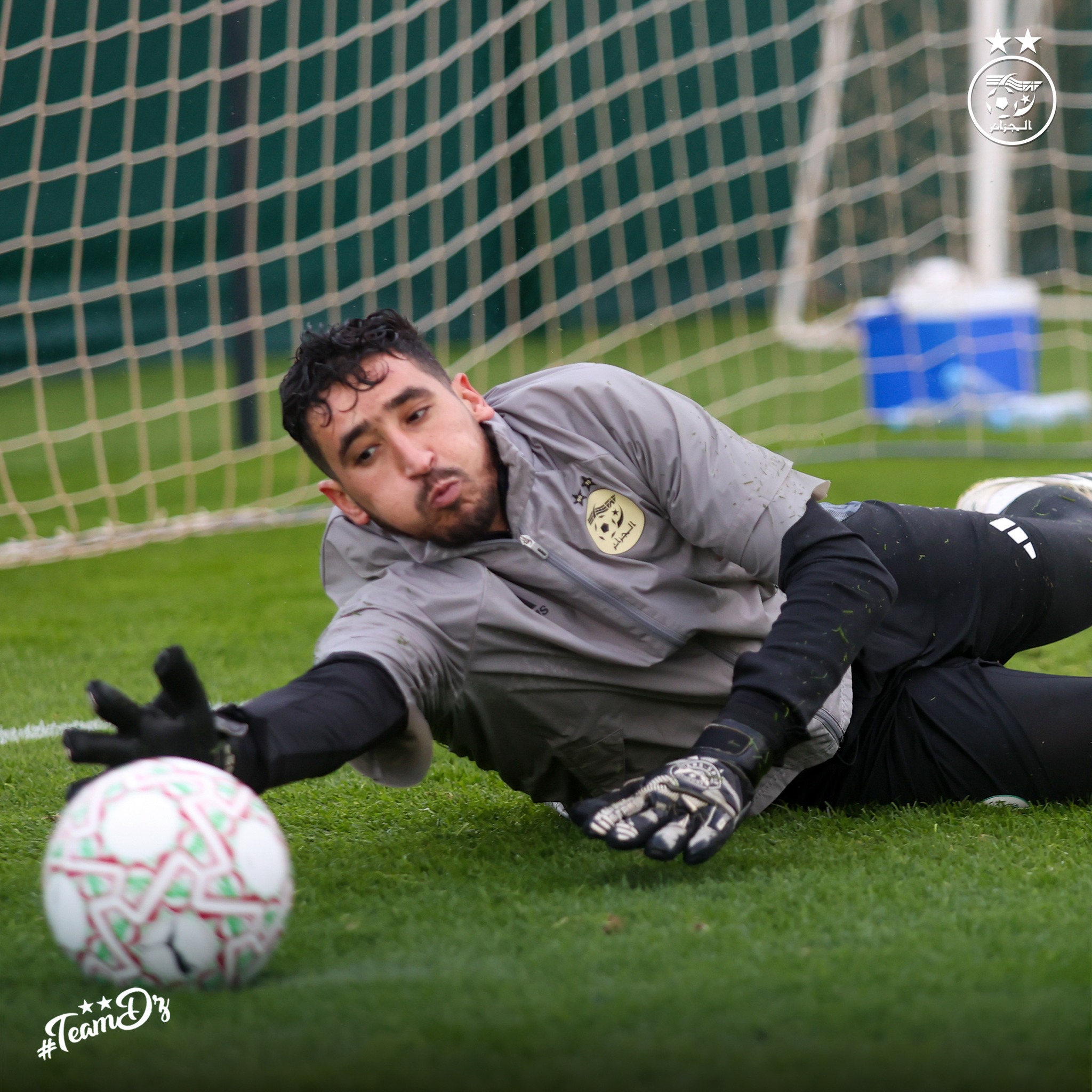 600893192 122181235838484363 6189042000418622713 n