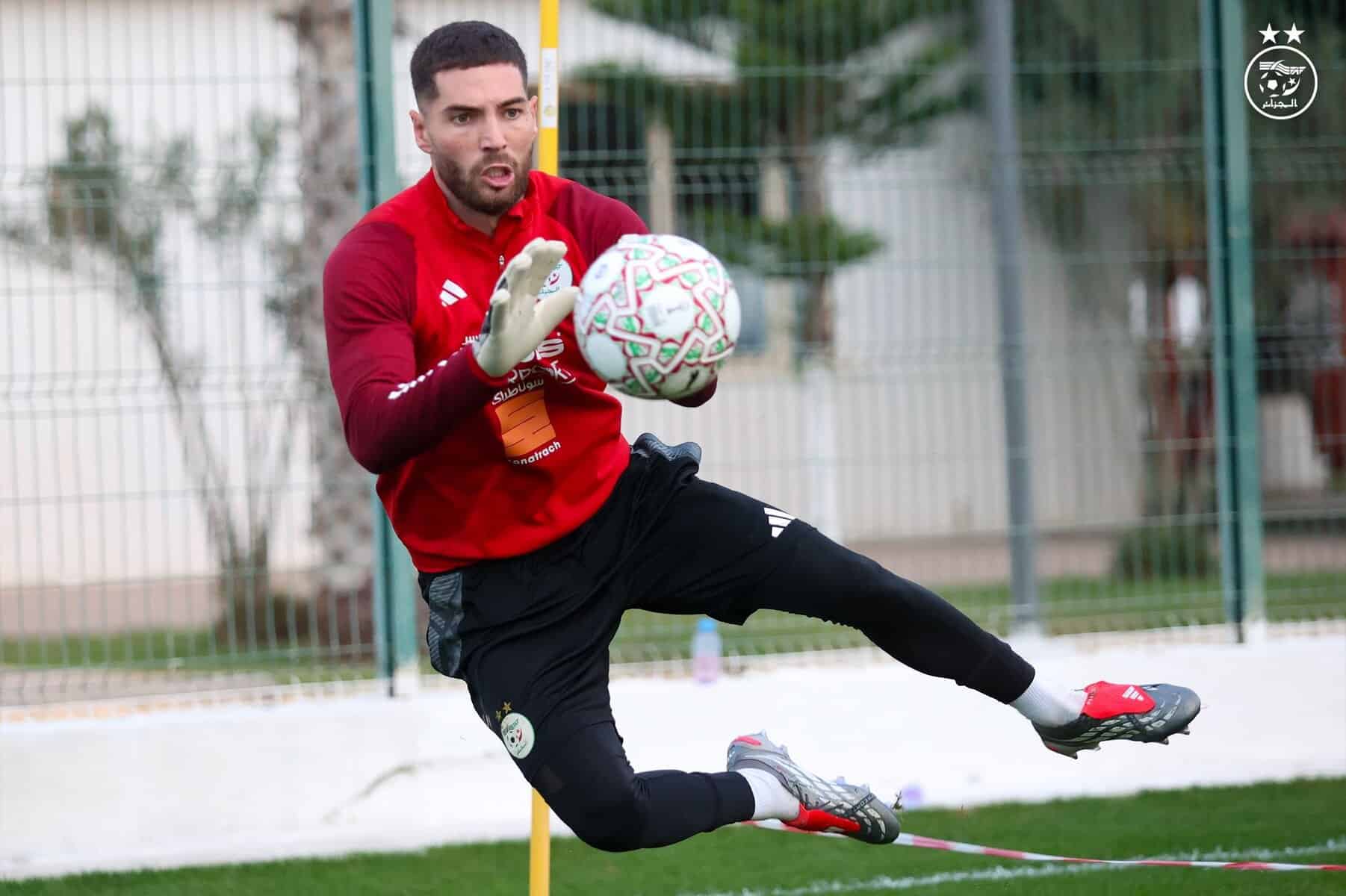 602351836 122180716712484363 4563791397876607628 n