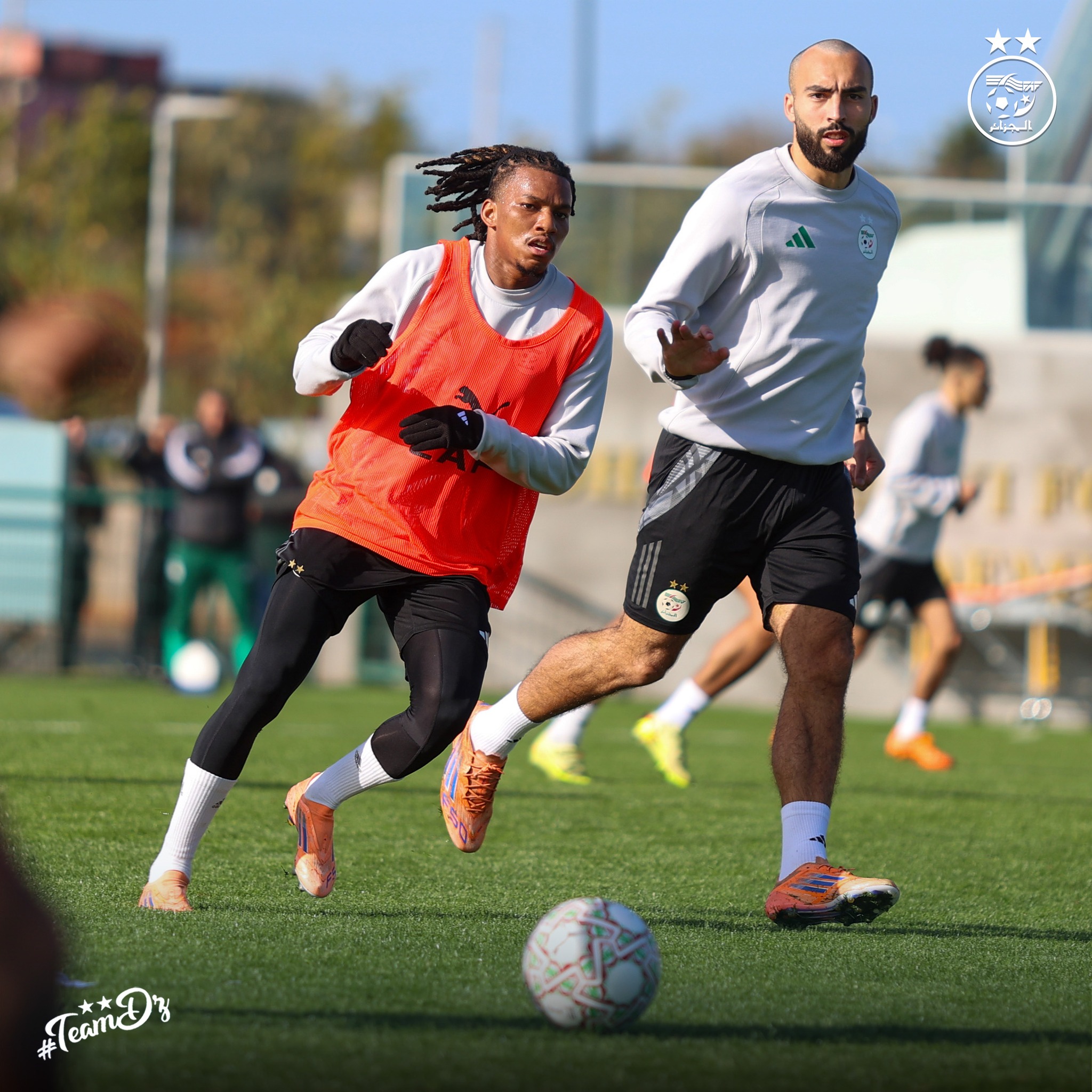 602395863 122181308972484363 7438240287913307439 n