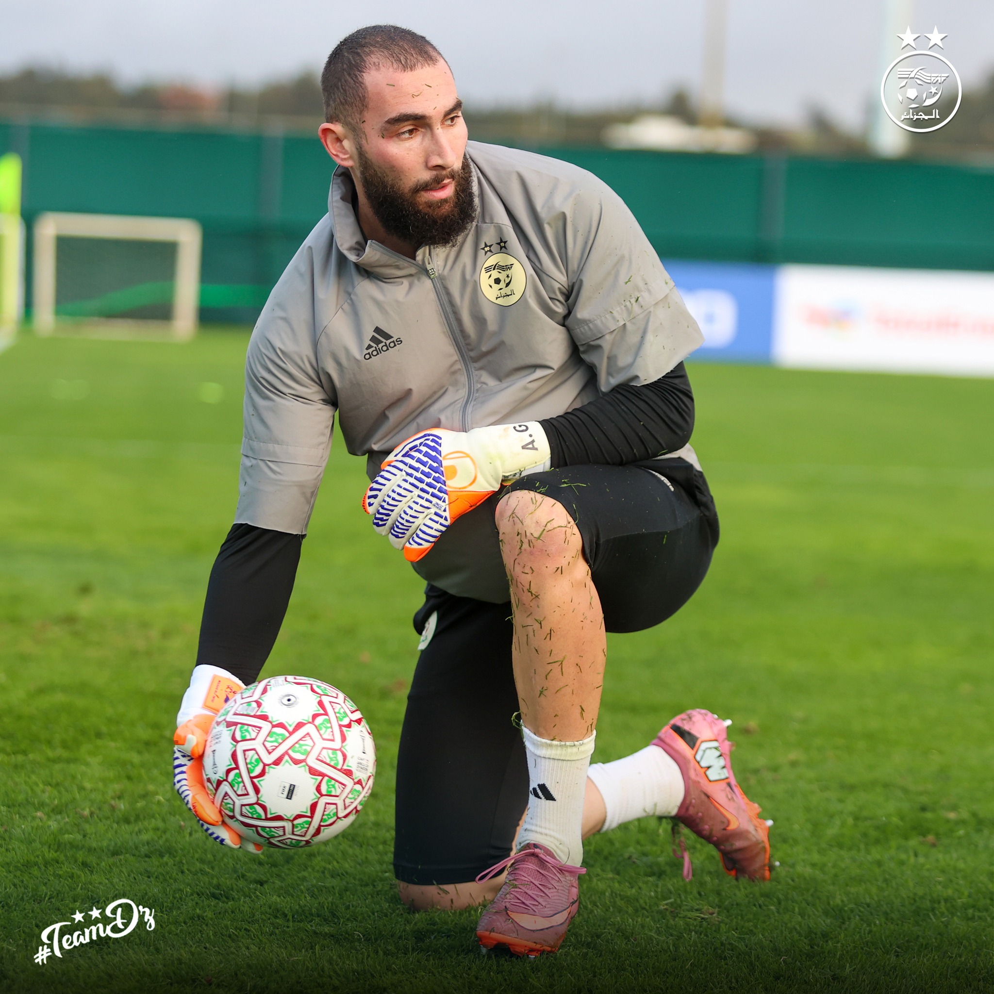 602401464 122181235940484363 2124759318955124506 n