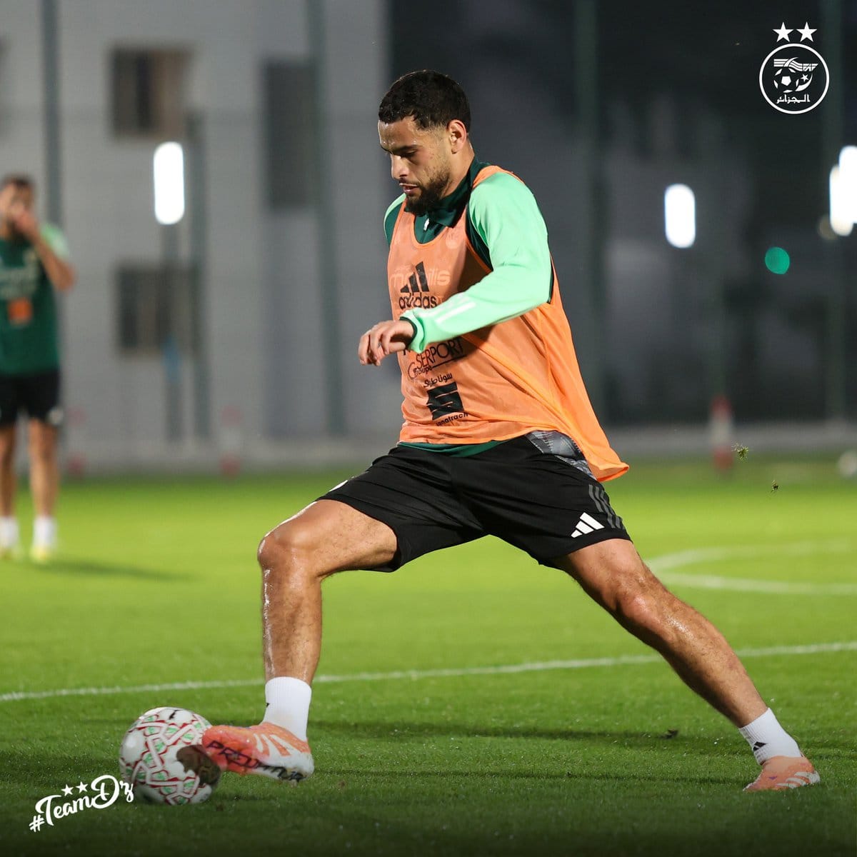 603029490 122180805458484363 8000287173162217129 n