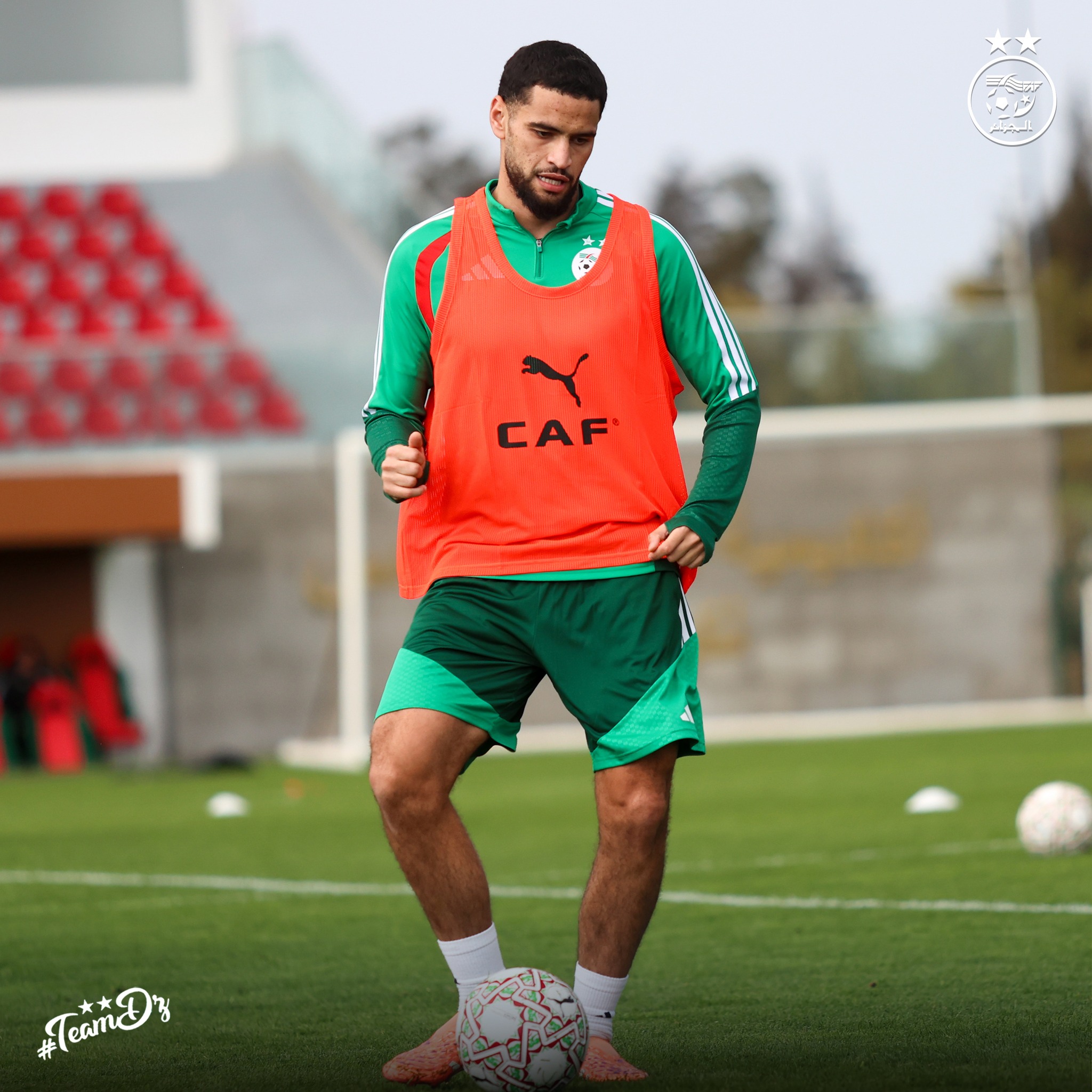 603874298 122181235856484363 8564503361967032321 n