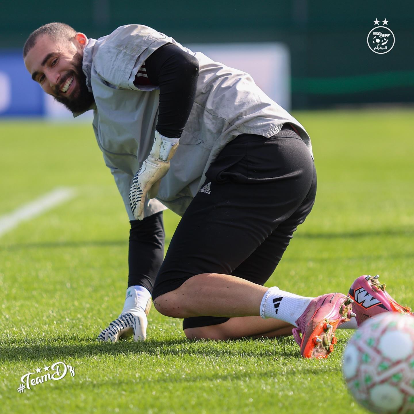 603997400 18161438611398019 6527251868183651800 n