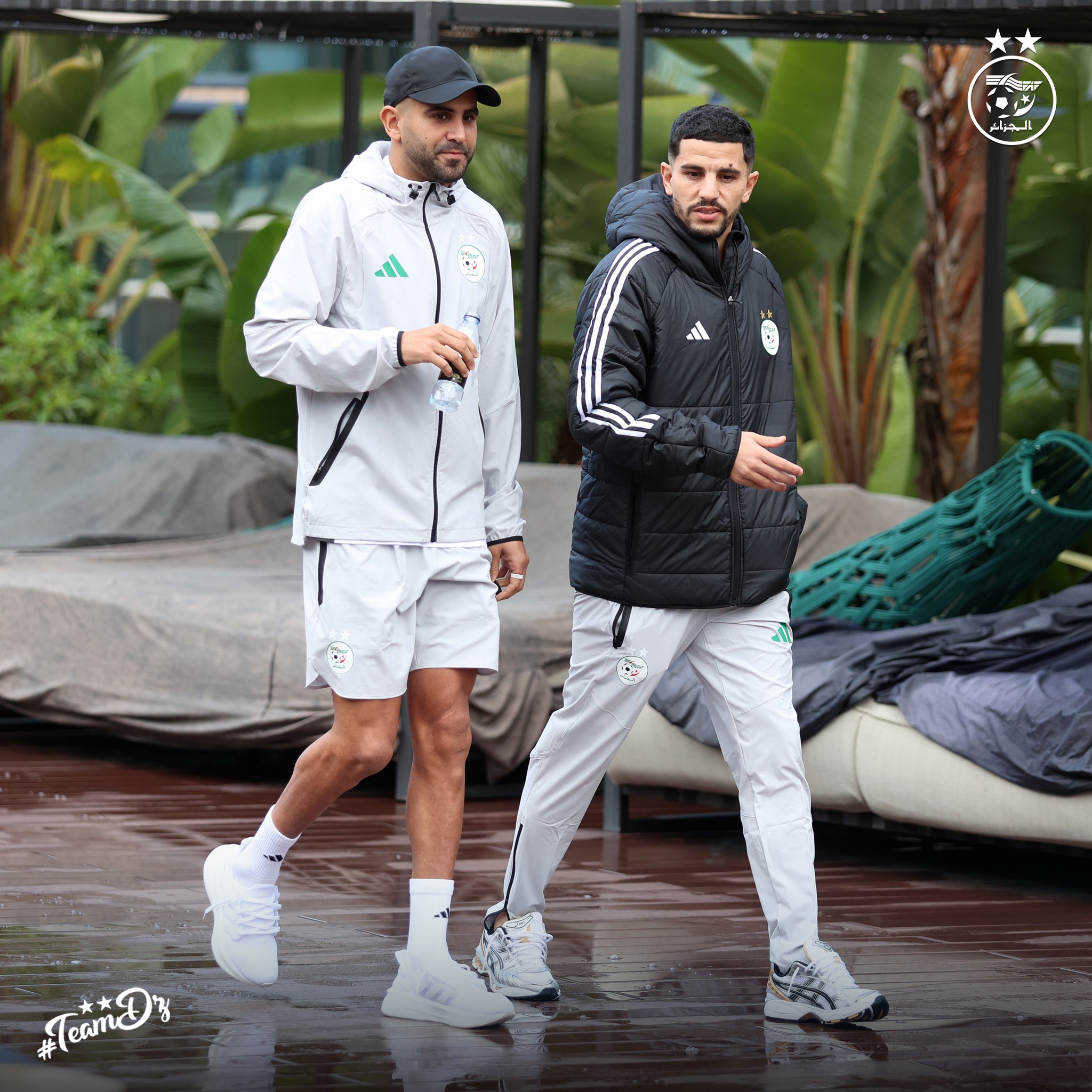 605582192 122181407222484363 8080777871735363910 n