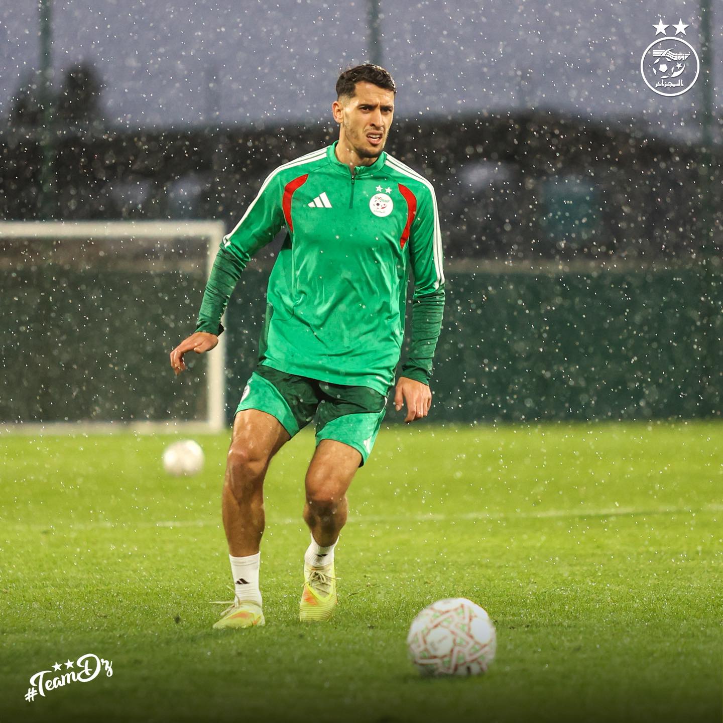 605653534 122181687056484363 4976780202962759356 n