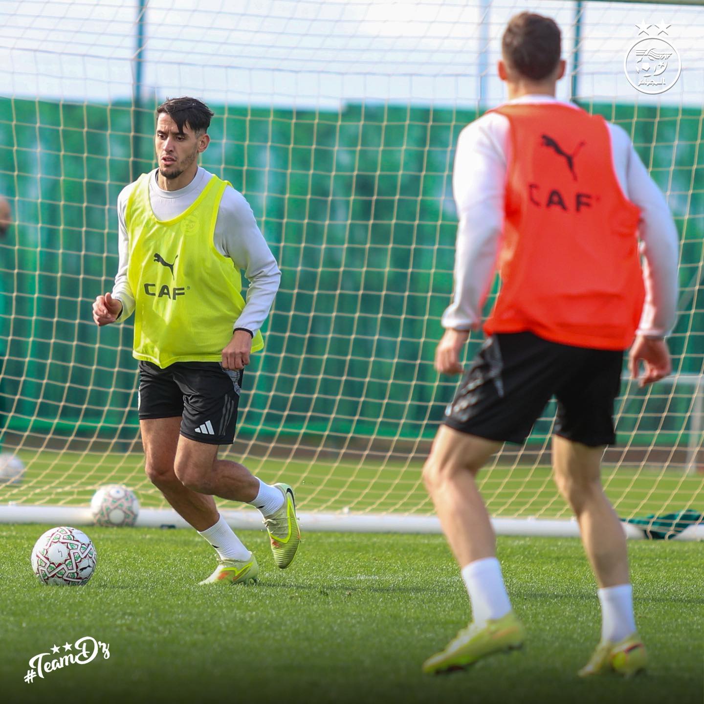 605719275 122181767624484363 7033411289136113876 n