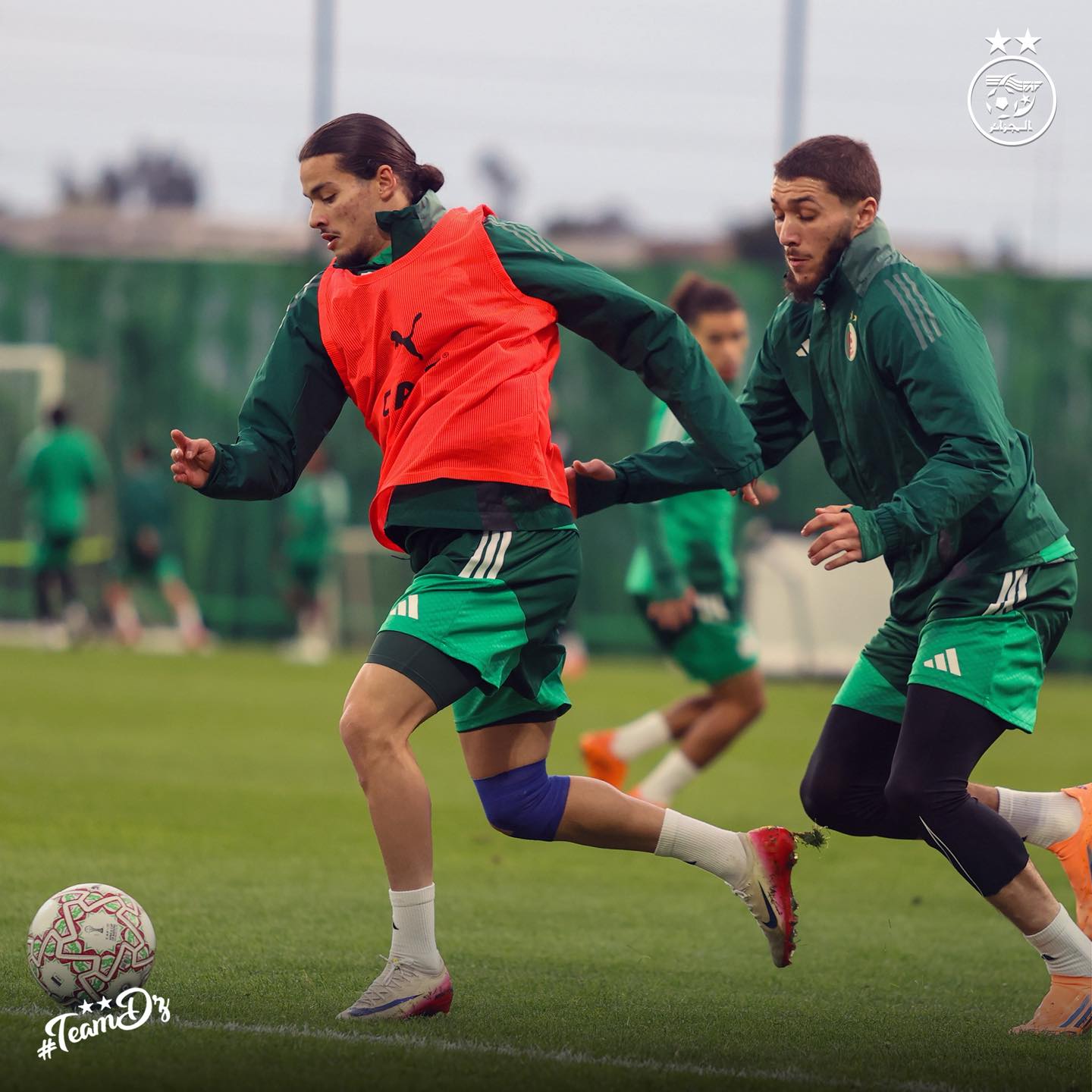 605845150 122181687086484363 2727841440080075832 n