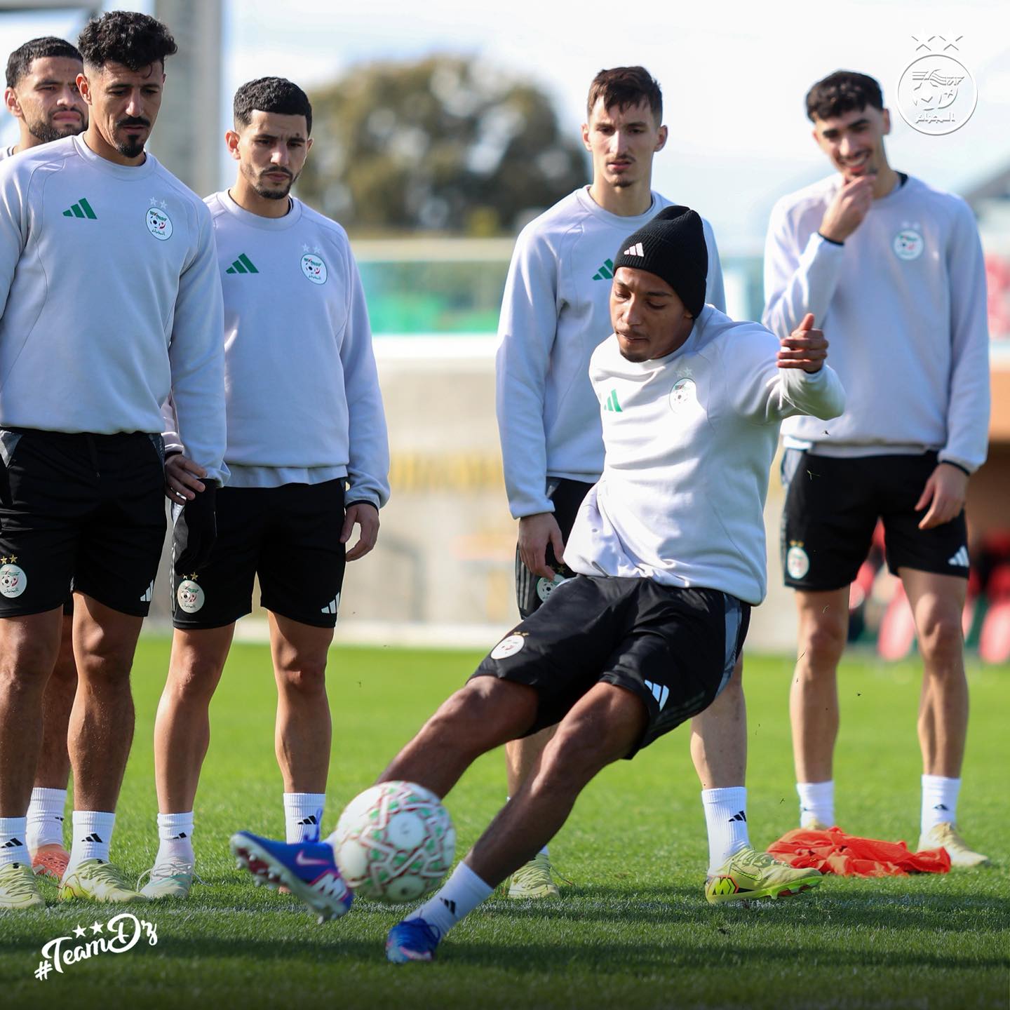 605875176 122181767666484363 3140709777495773194 n