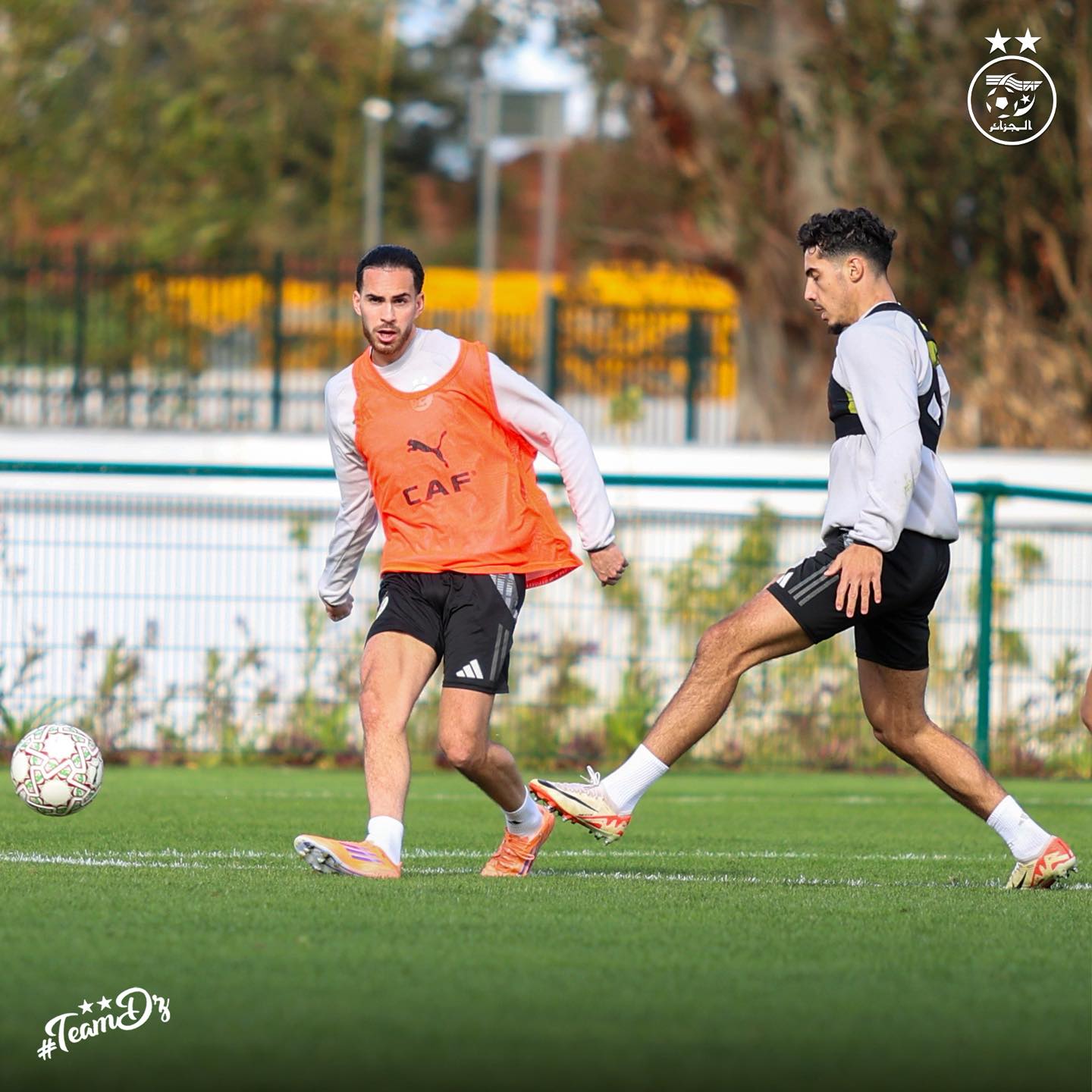 605978663 122181767600484363 3082491336848079407 n