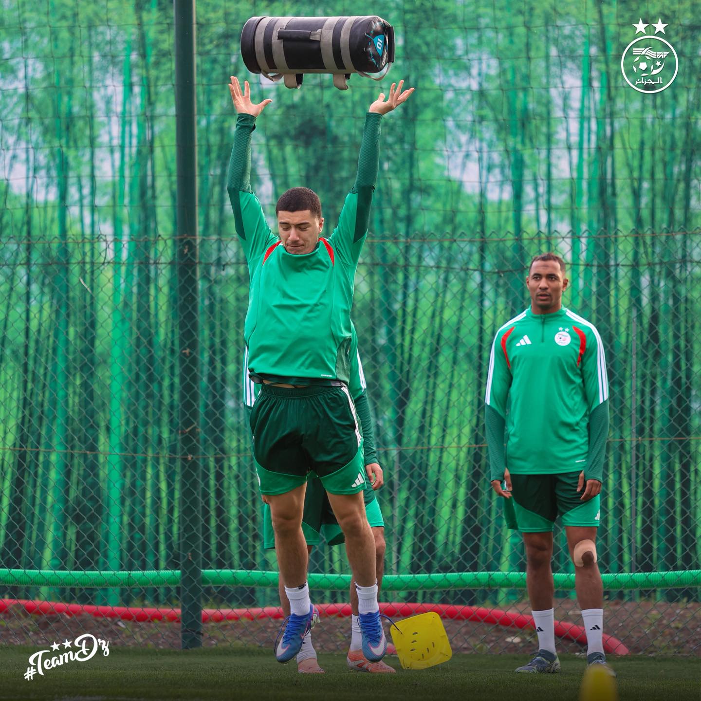 606035610 122181687020484363 4396555140335992628 n