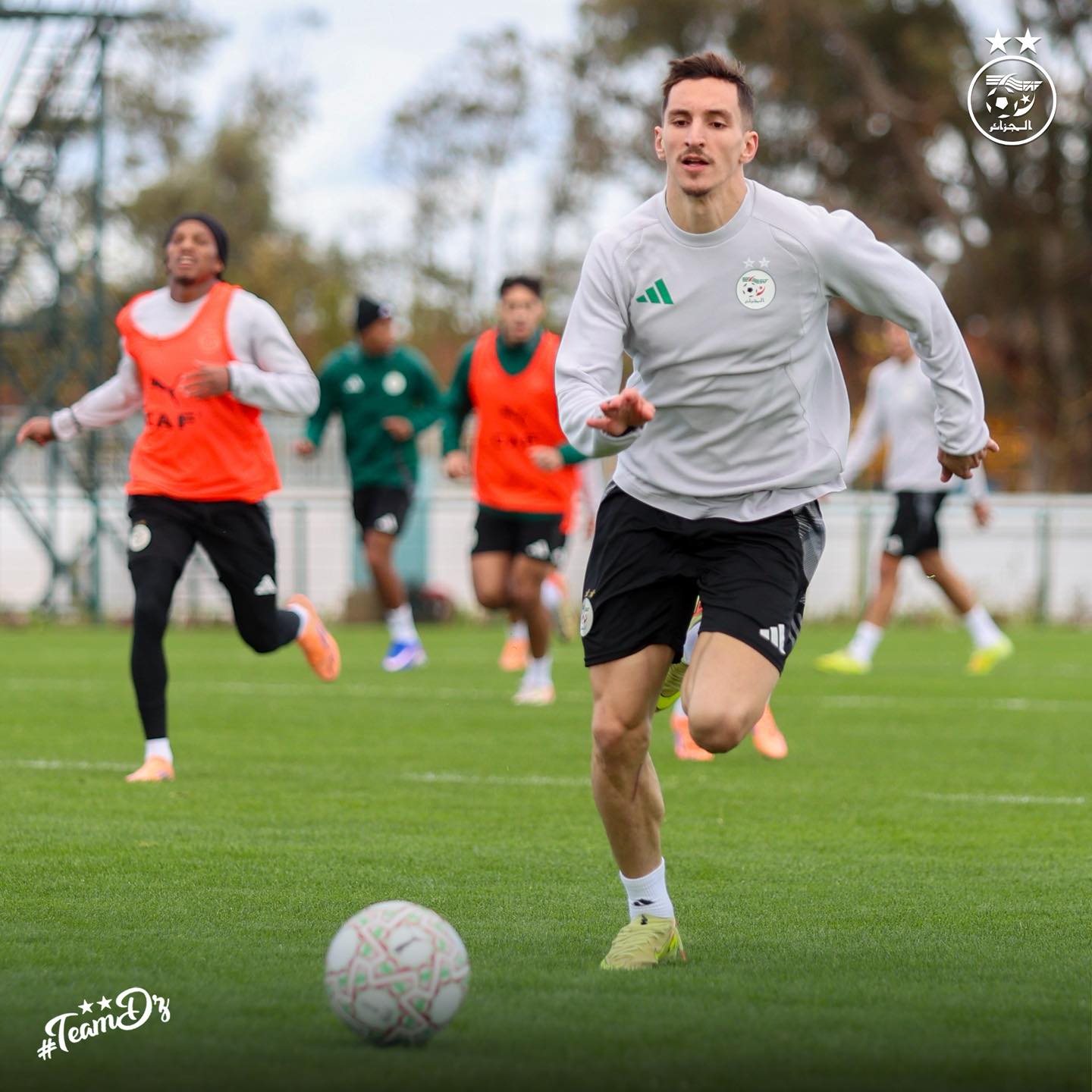 607131669 122181767678484363 6988037057937775290 n