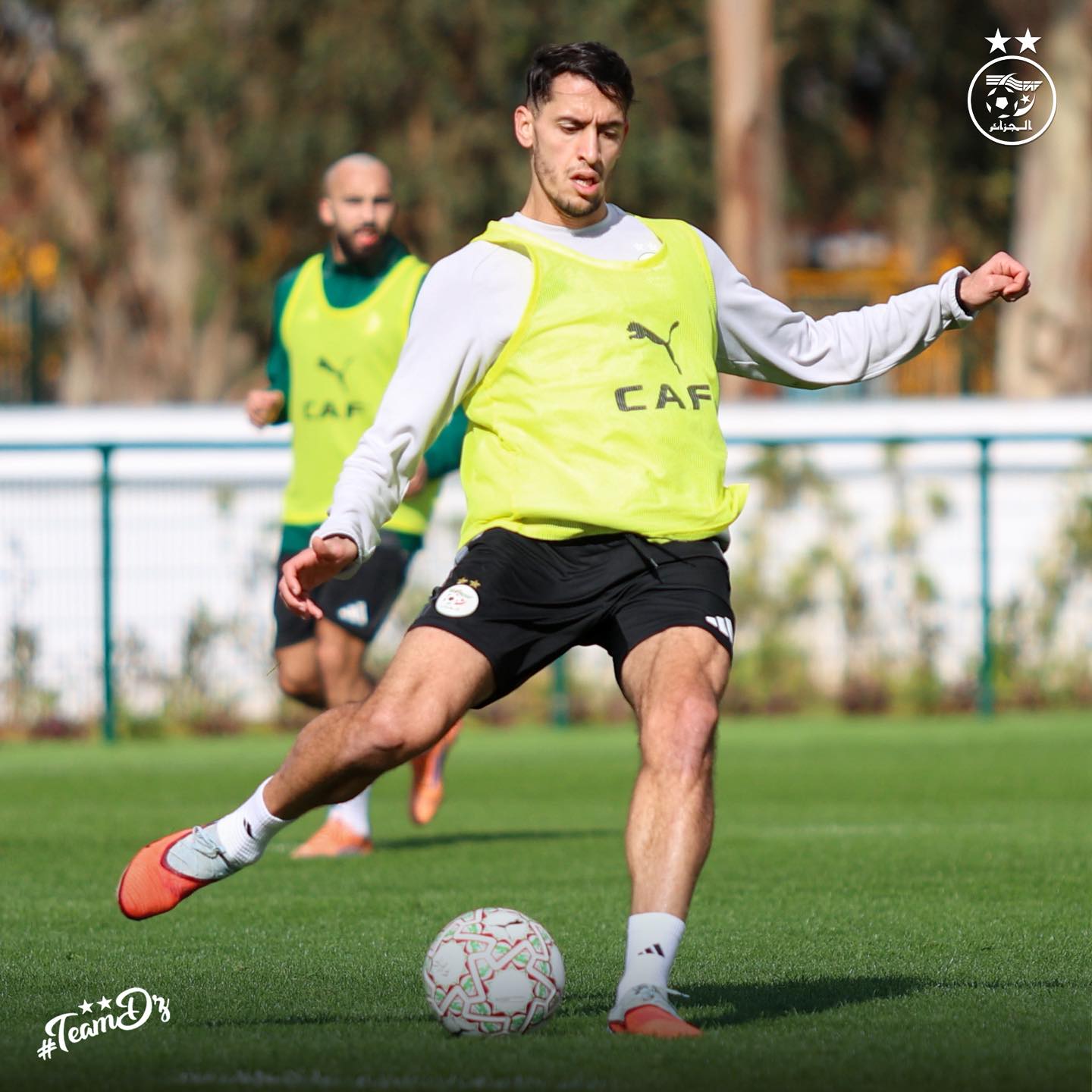 607453190 122182013858484363 6345442796248819133 n