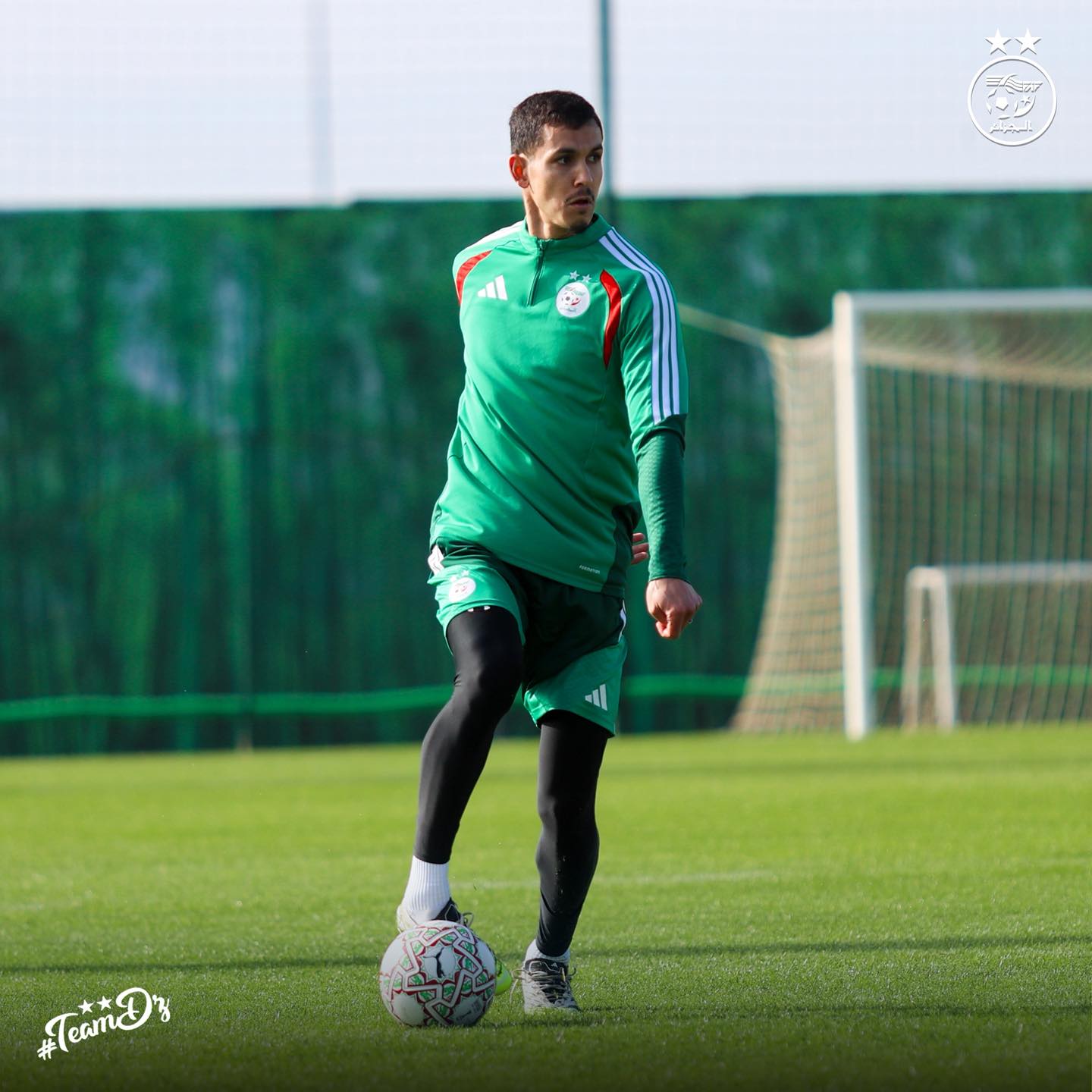 607706965 122182109336484363 3286853320660797705 n