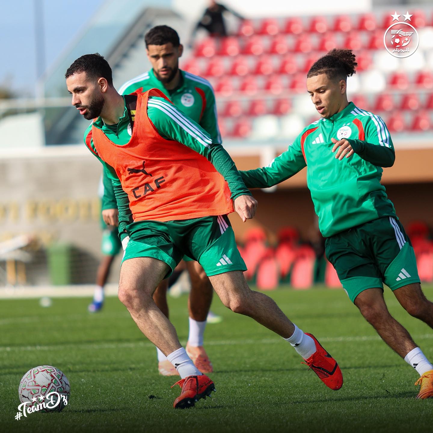 607706965 122182109372484363 7321772869404573034 n