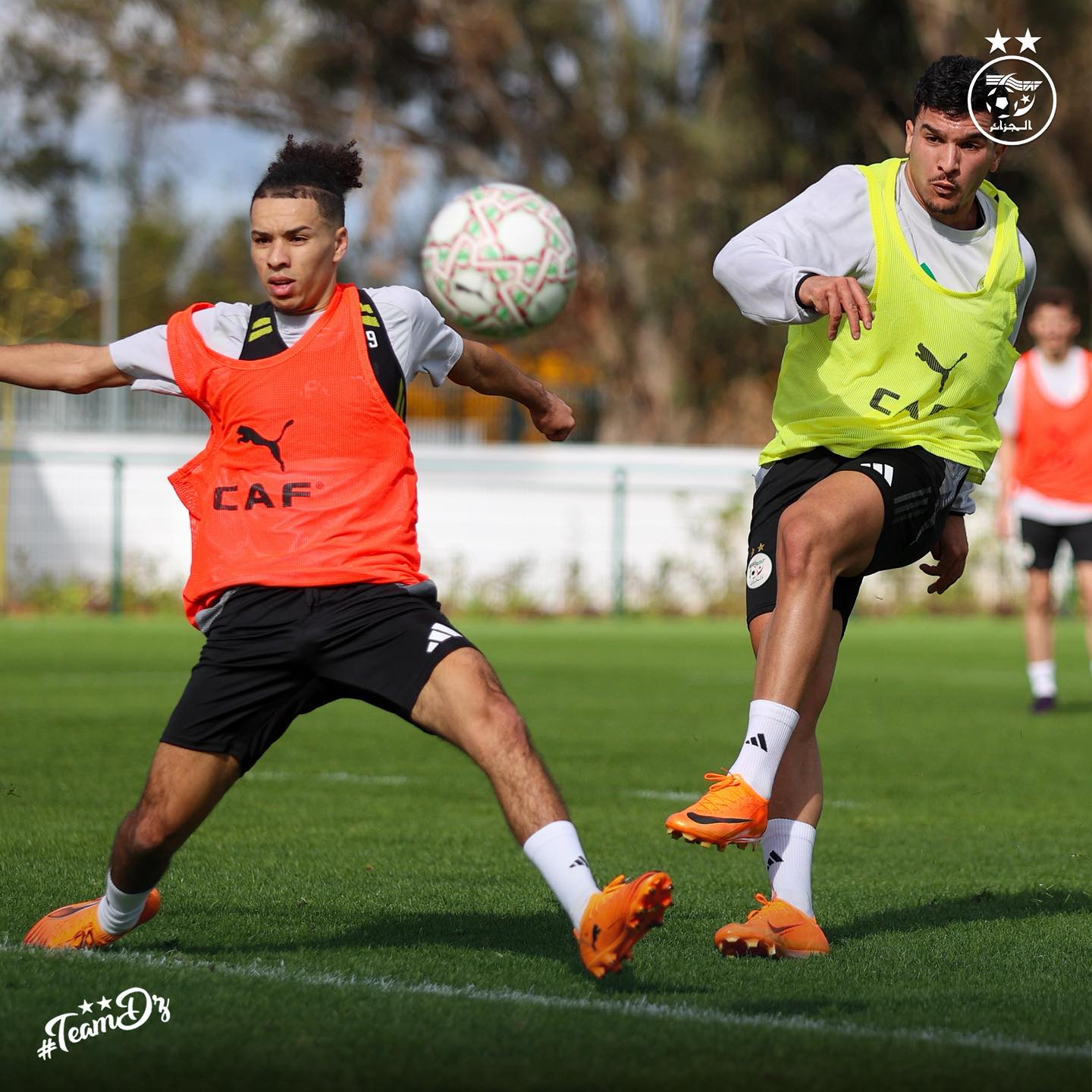 607727830 122182013690484363 3557139358098166520 n