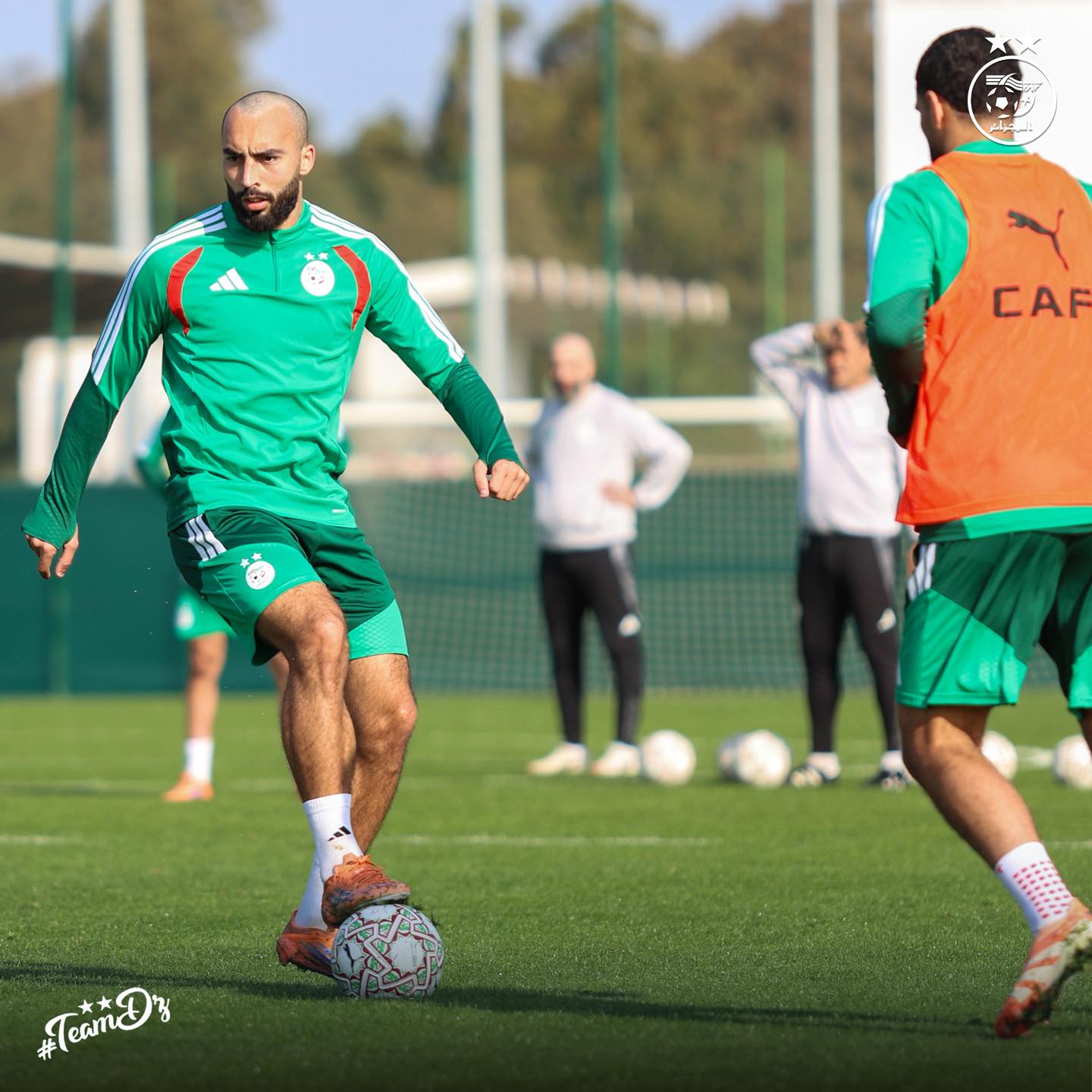 607797050 122182109378484363 3620066710292473800 n