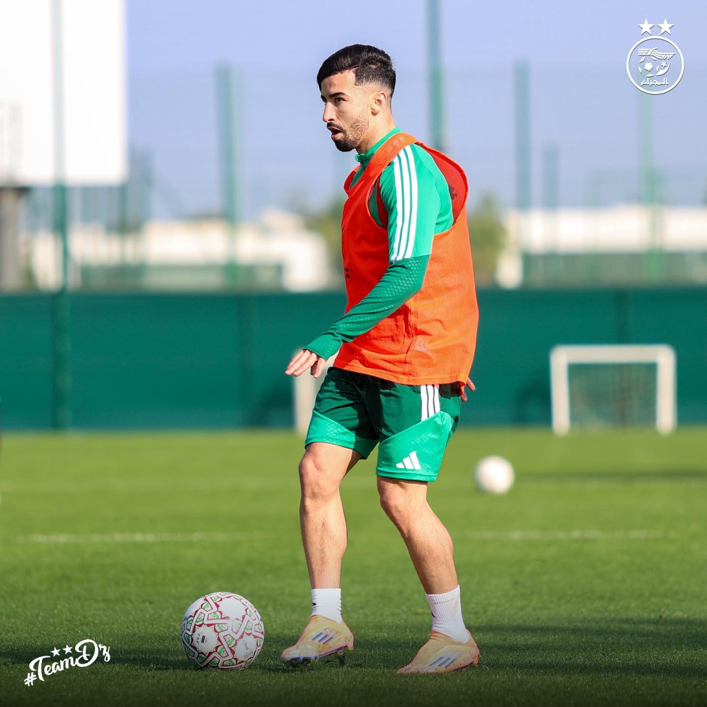 607830306 122182108952484363 906424226422074089 n