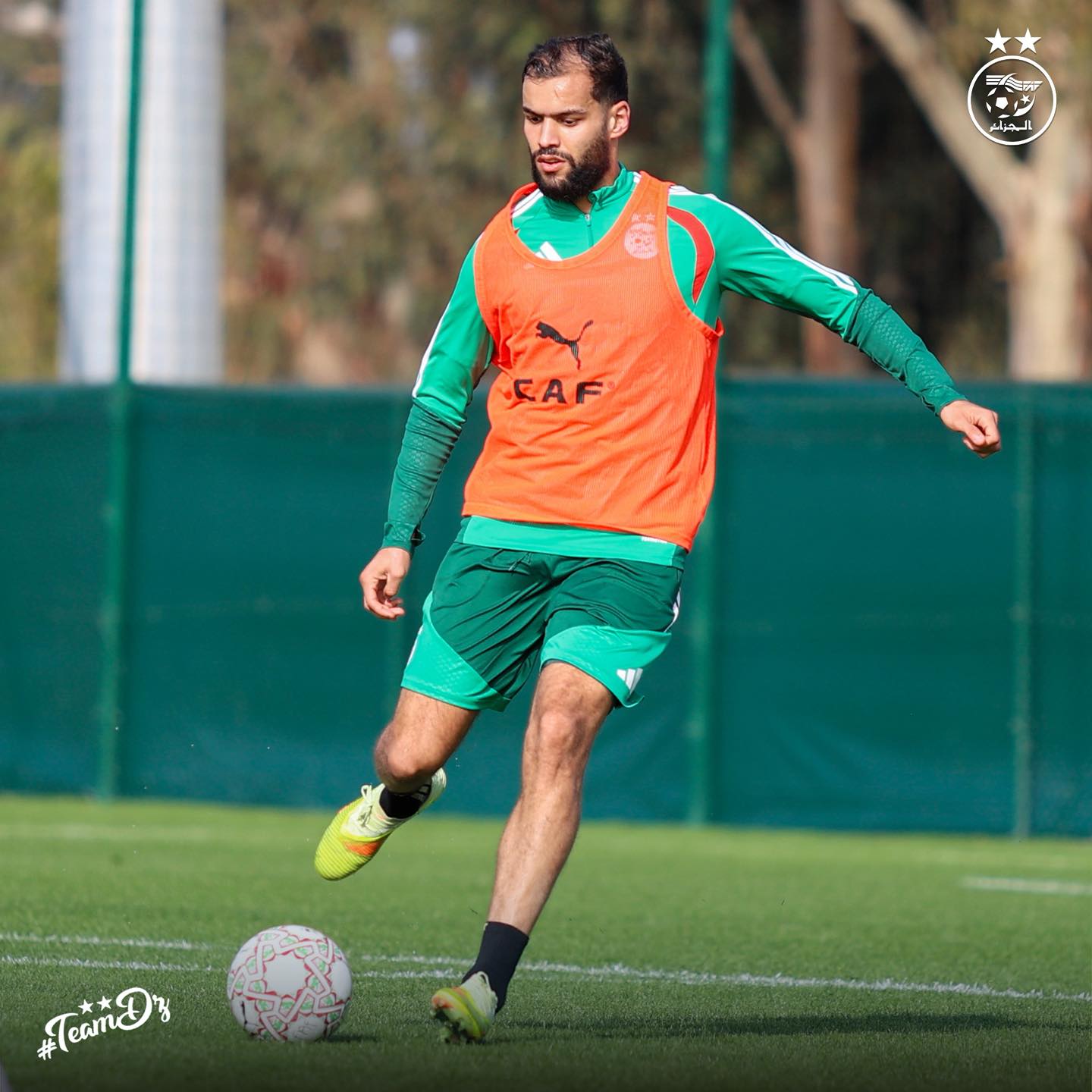 607949618 122182109222484363 83532294248906872 n