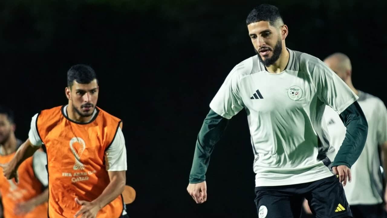 Algérie A’-Emirats Arabes Unis (J-1) : Les Verts dans le sérieux total