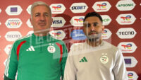 Algérie CAN Petkovic Mahrez