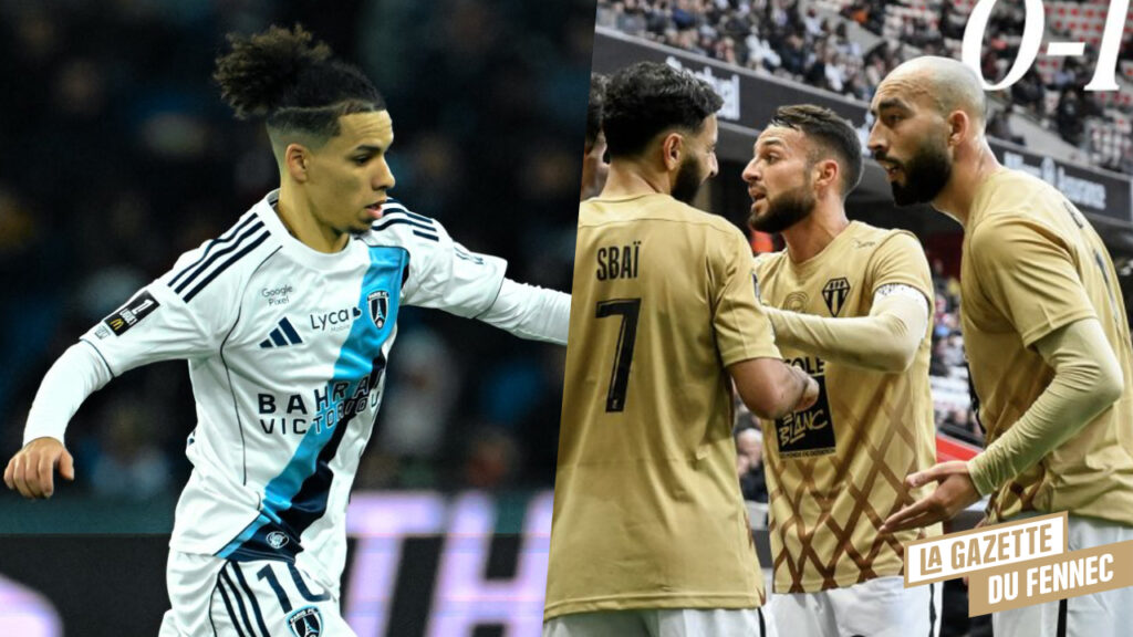 Ligue 1 (J15) : Un dimanche contrasté pour les DZ de France