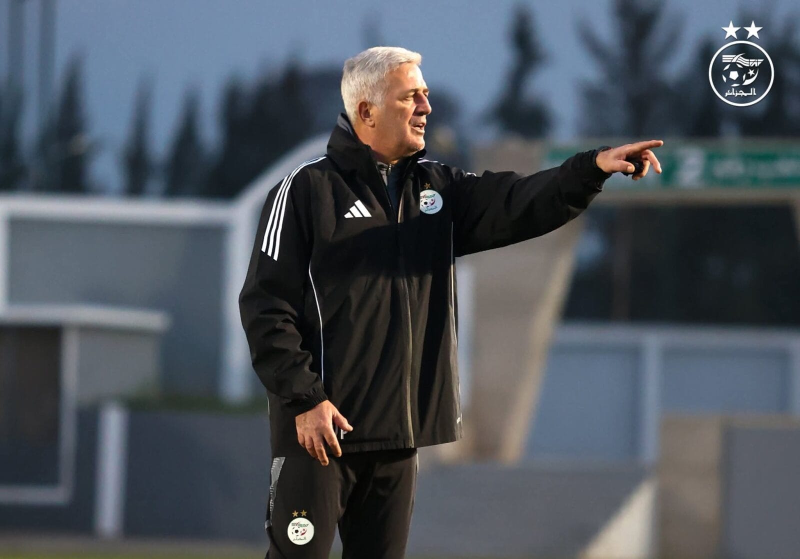 Petkovic Algerie CAN 2025