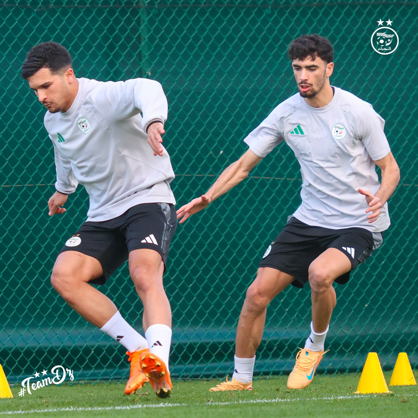 589719041 18162412000398019 4777933193071133639 n