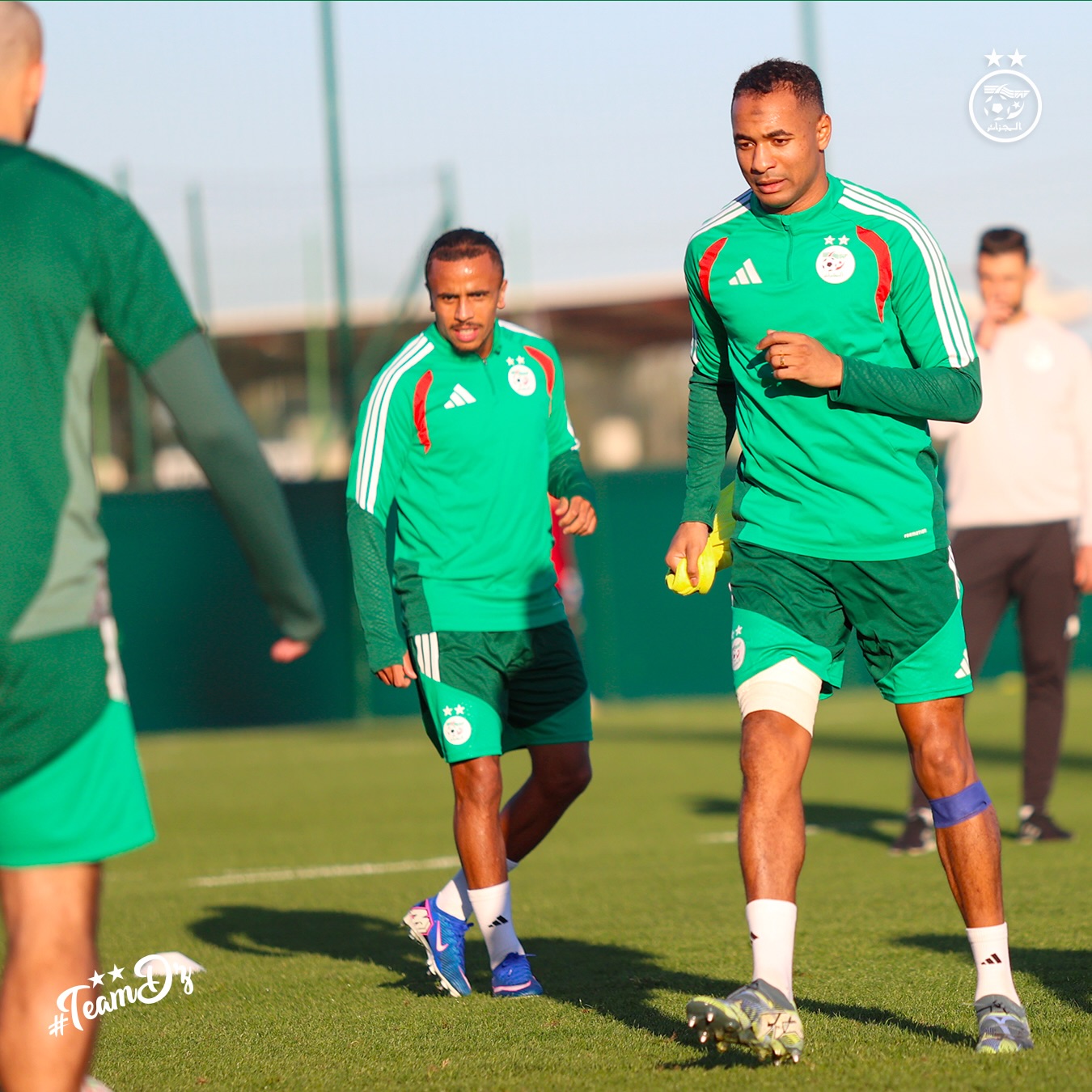 608212489 18162755944398019 8819503988226809883 n