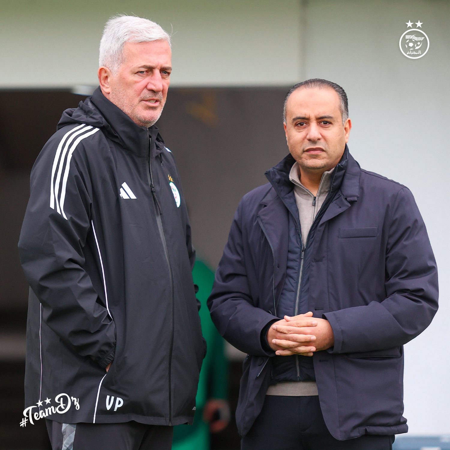 608850927 122182849106484363 2880046950937665741 n