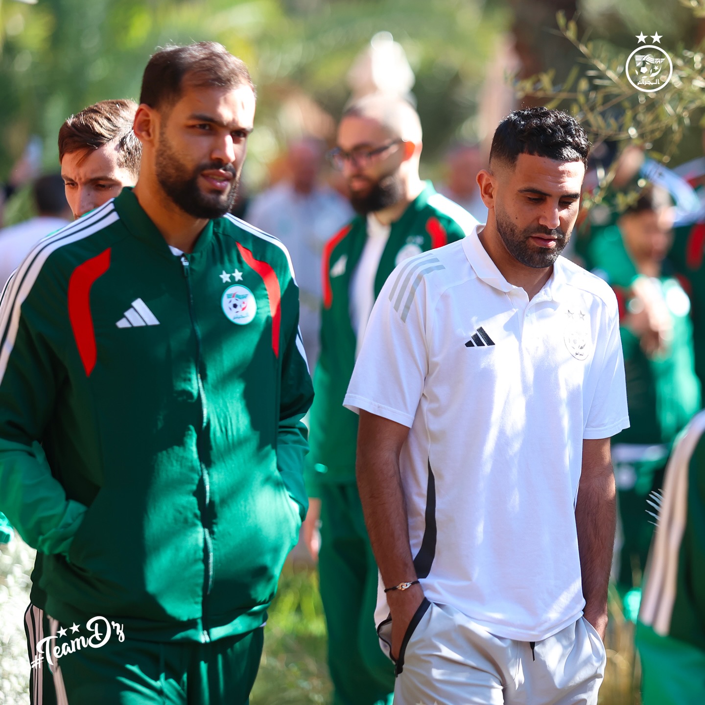 608857344 18162890884398019 5488574026841166989 n