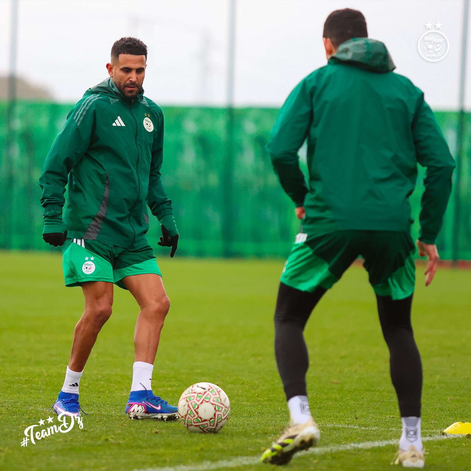 609004924 122182849070484363 6692272355535913922 n