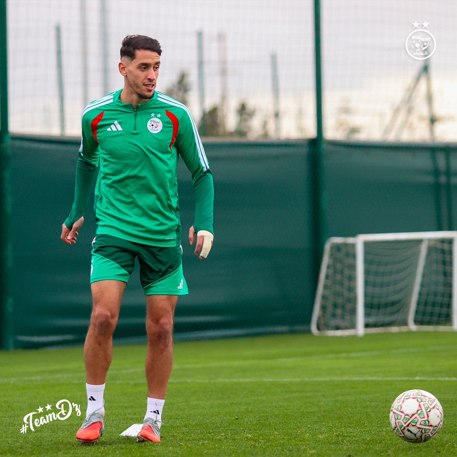 609012433 122182849196484363 7785931090152100831 n