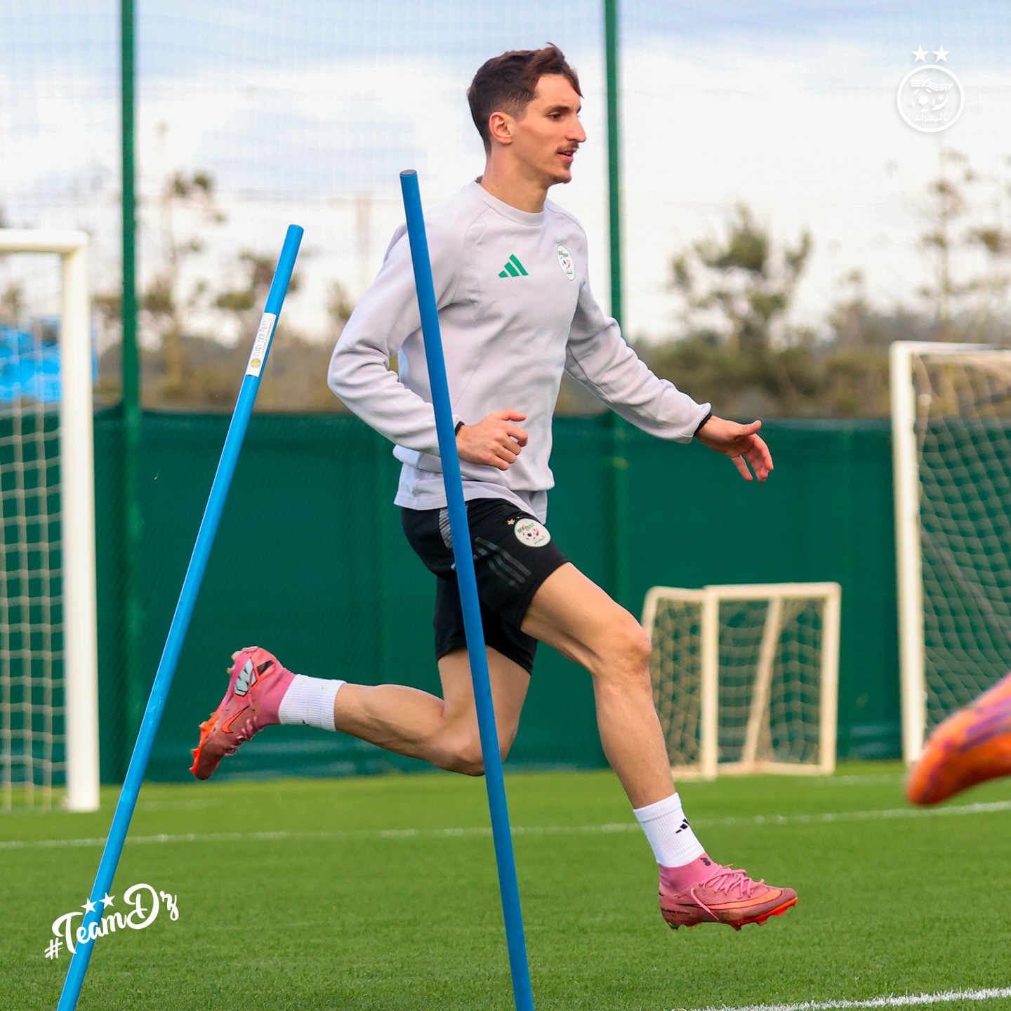 609240729 18162411931398019 930339140776560656 n