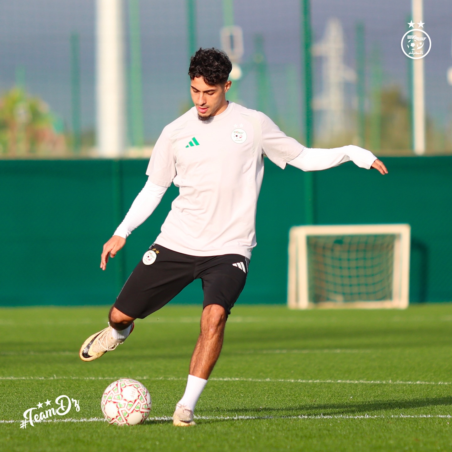 610496587 18162411883398019 2301303332099862962 n