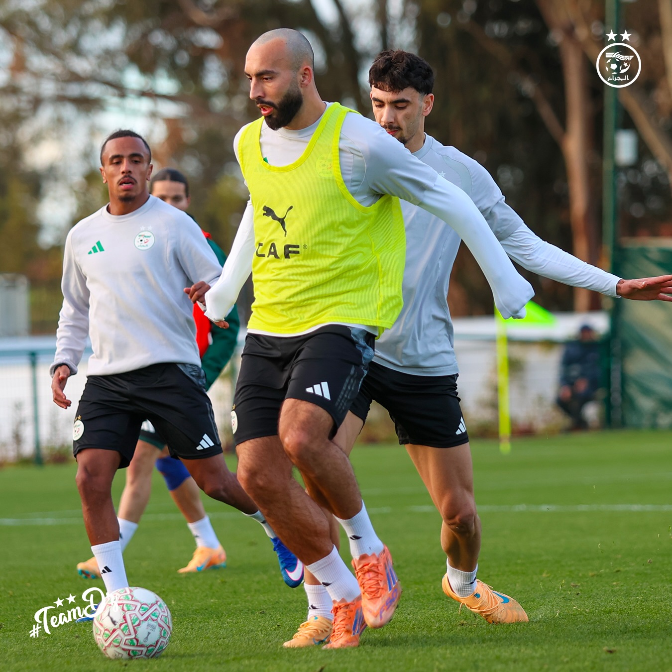 610657307 18162672535398019 4626258264067099699 n