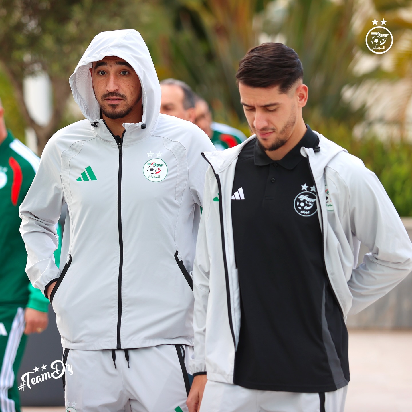 610704139 18162552010398019 6795947267070421625 n