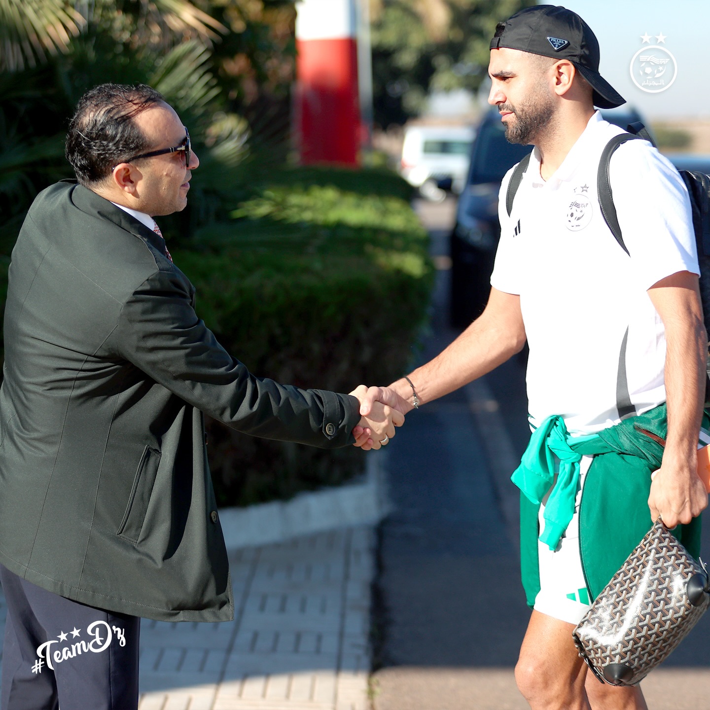 610729155 18162802480398019 1476281351525581328 n