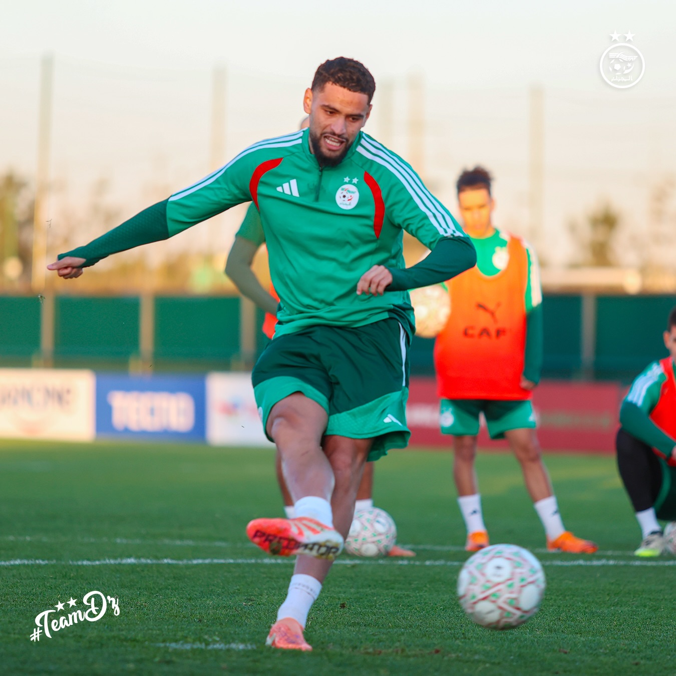 610789892 18162756034398019 2441616106895364627 n