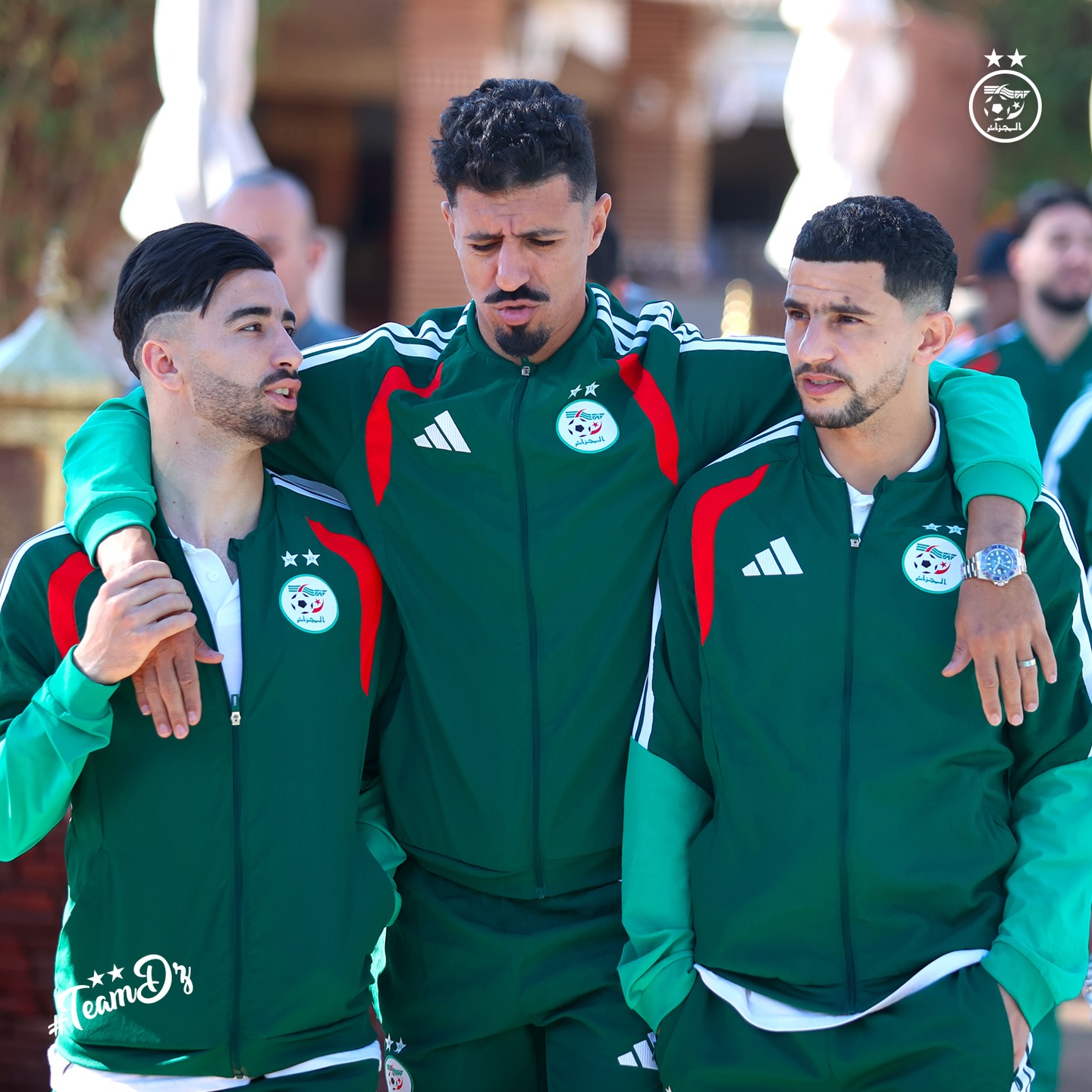 610799178 18162890881398019 3684196468351881197 n