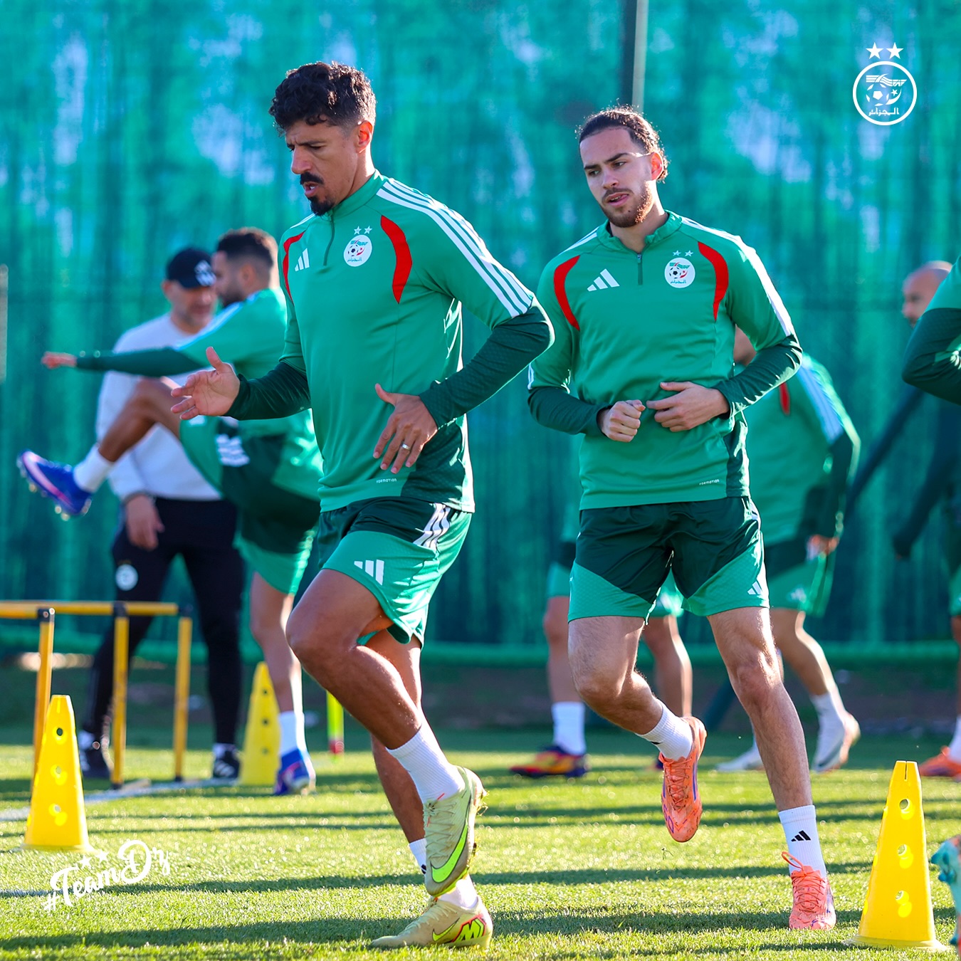 610850474 18162755971398019 2855611666204010587 n