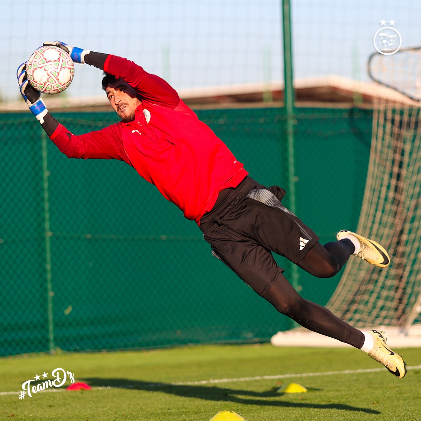 610914631 18162755998398019 9040672825877130072 n