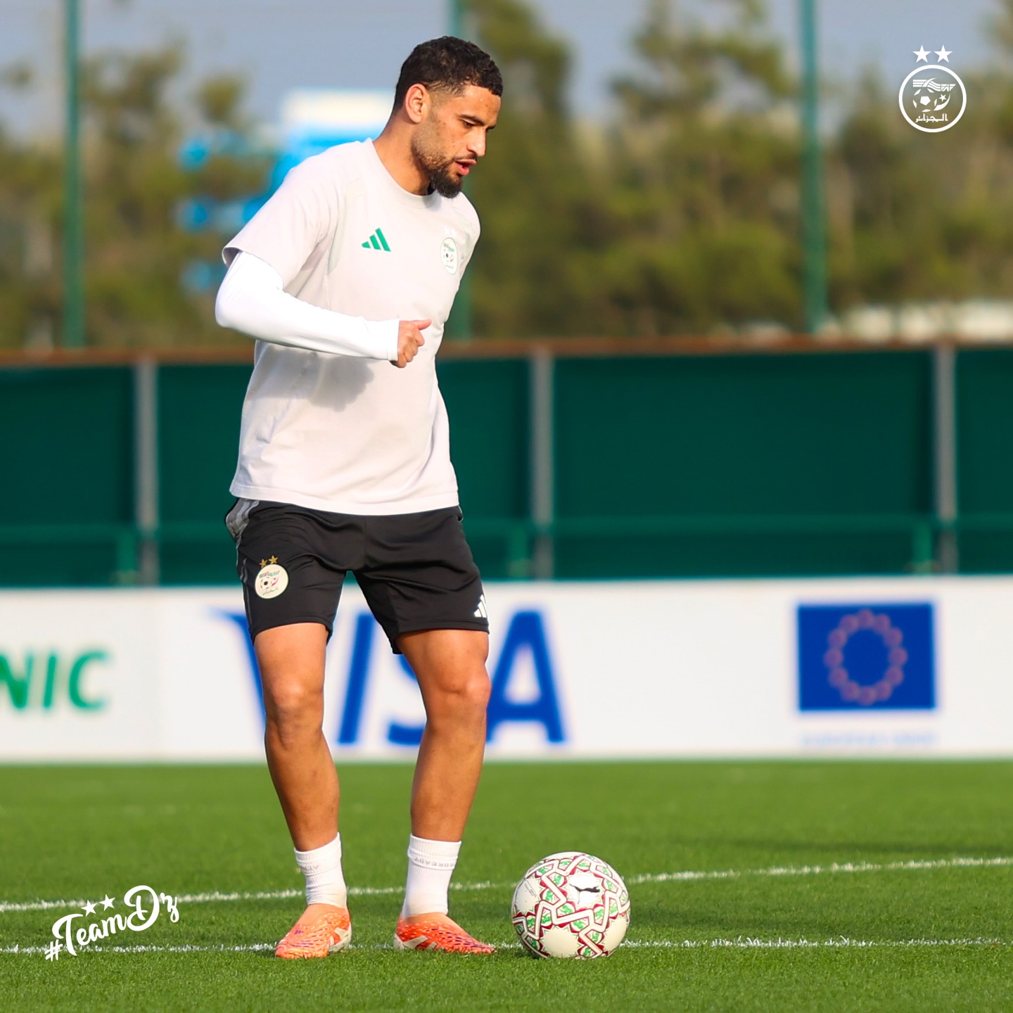 610914641 18162412021398019 4487341157094920392 n