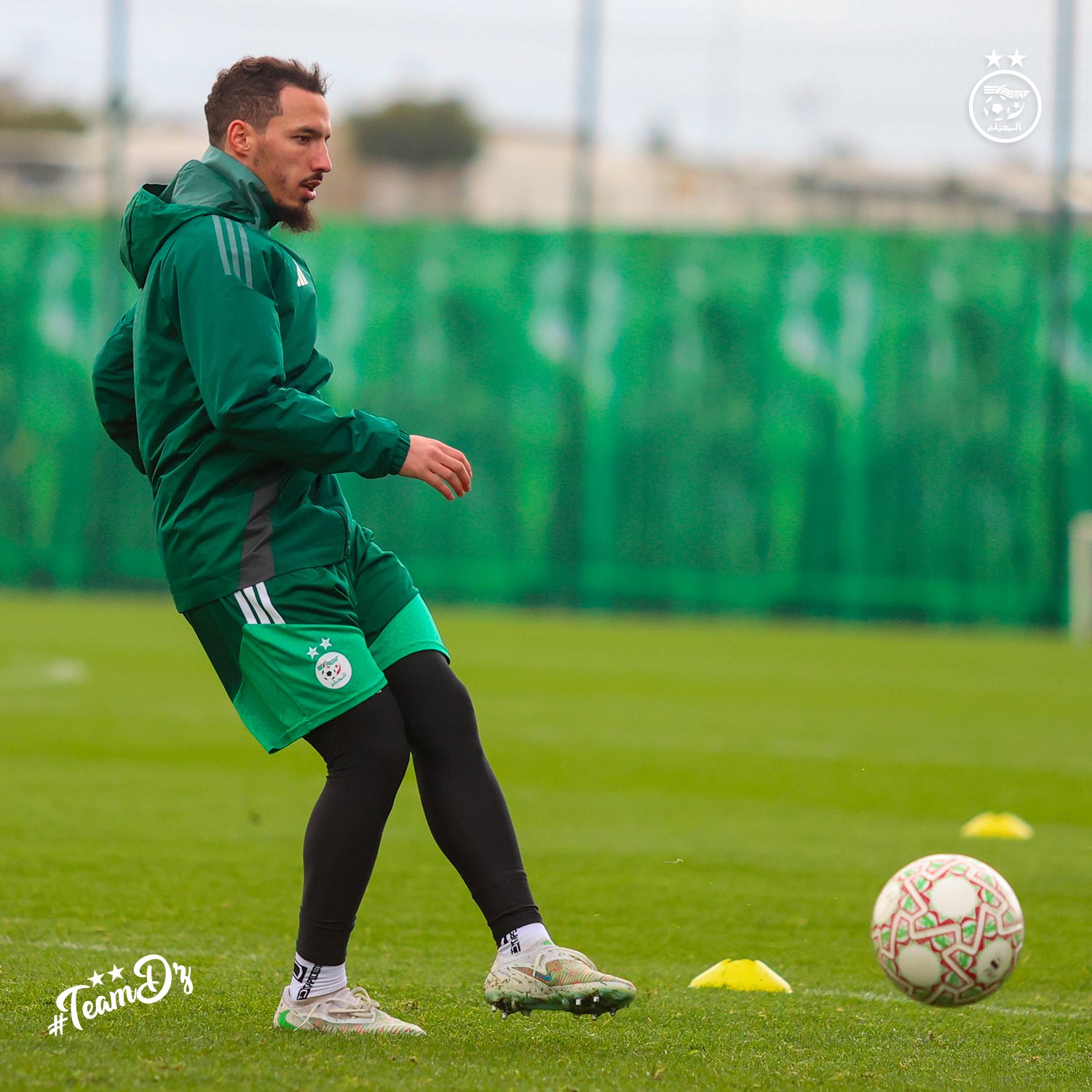 610937084 122182849088484363 1000124486847754737 n