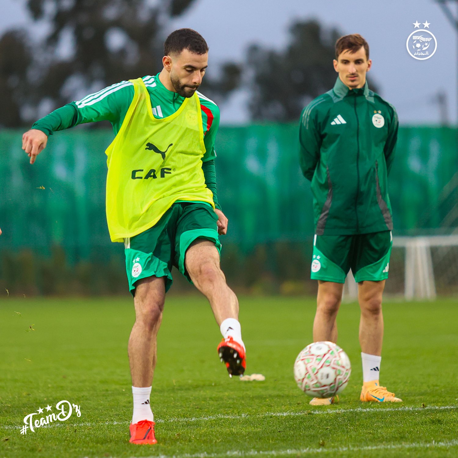 611038096 122182849124484363 1558069844502202768 n